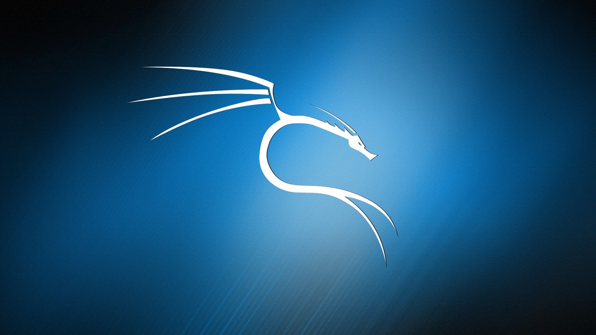 Kali Linux Wallpapers