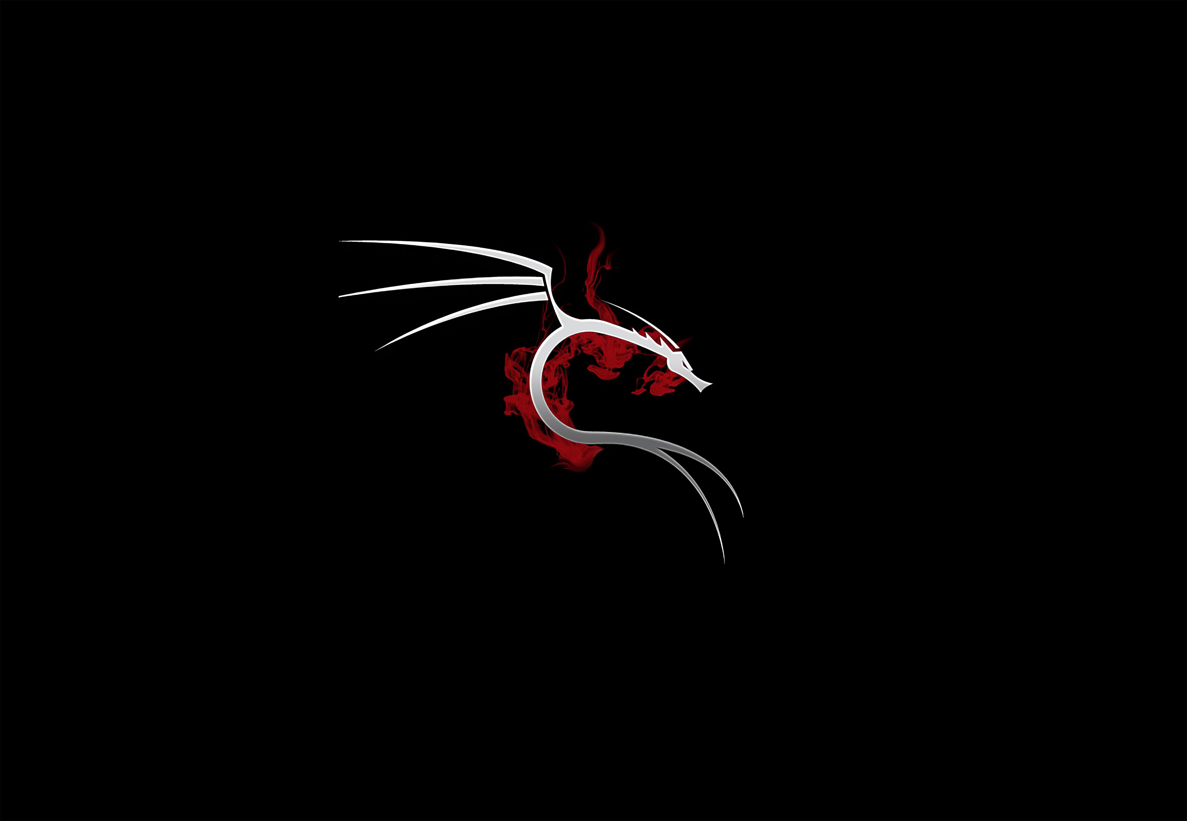 Kali Linux Matrix Wallpapers