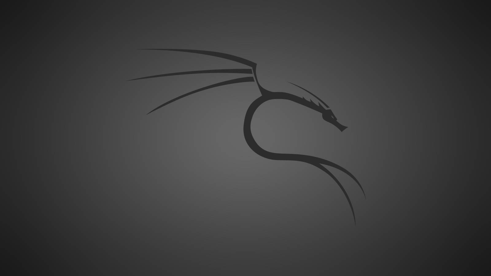 Kali Linux Matrix Wallpapers