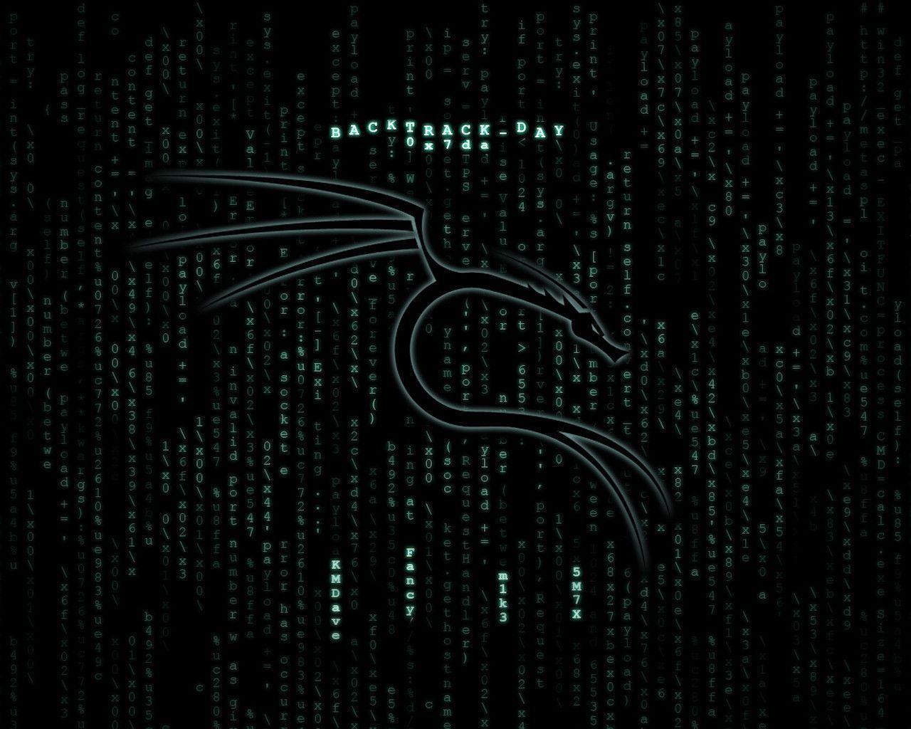 Kali Linux Matrix Wallpapers