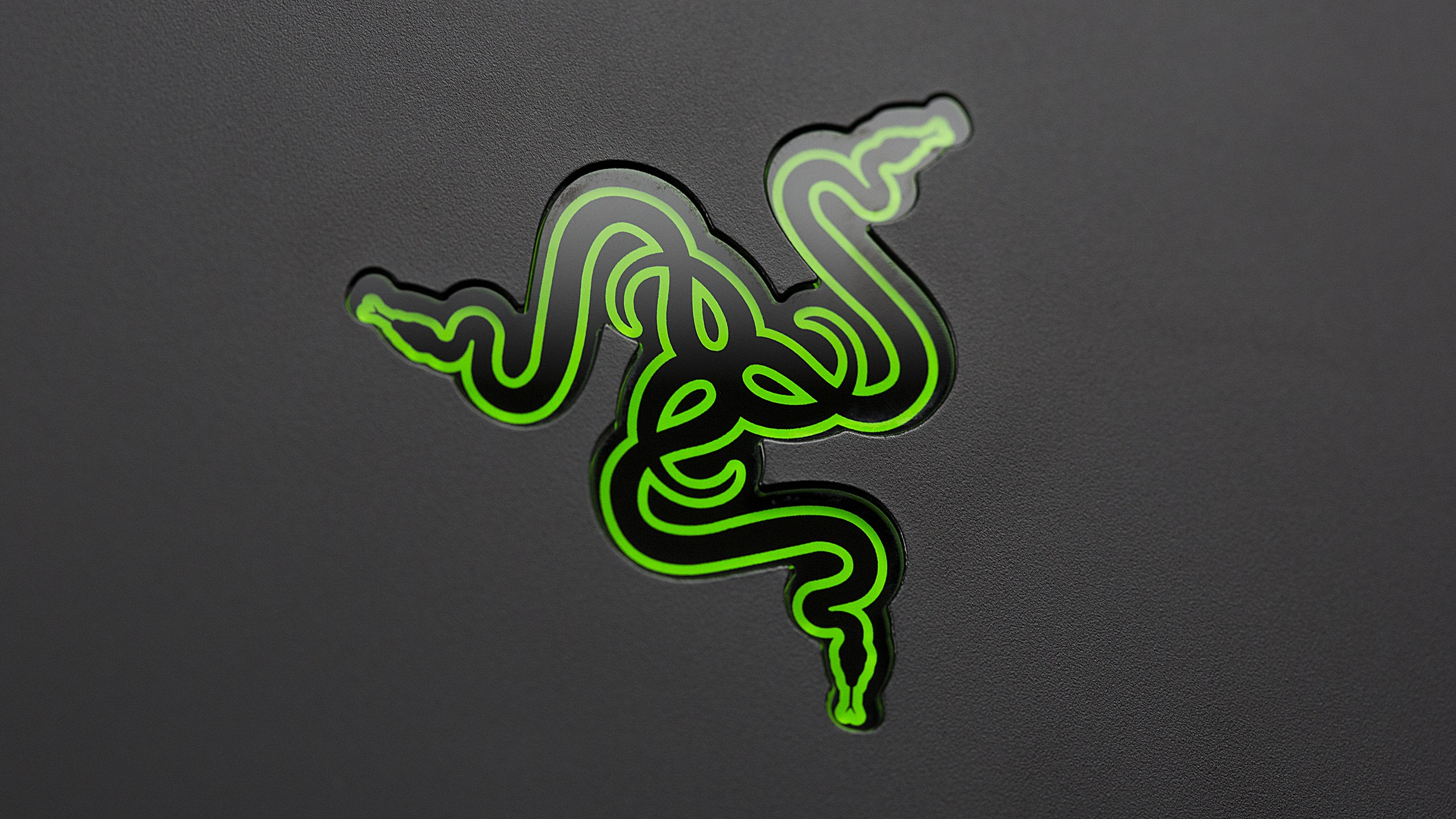 Razer Gamer Logo Wallpapers