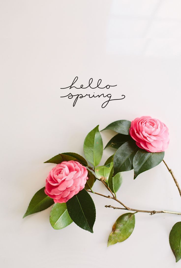 Tumblr Hello Spring Background