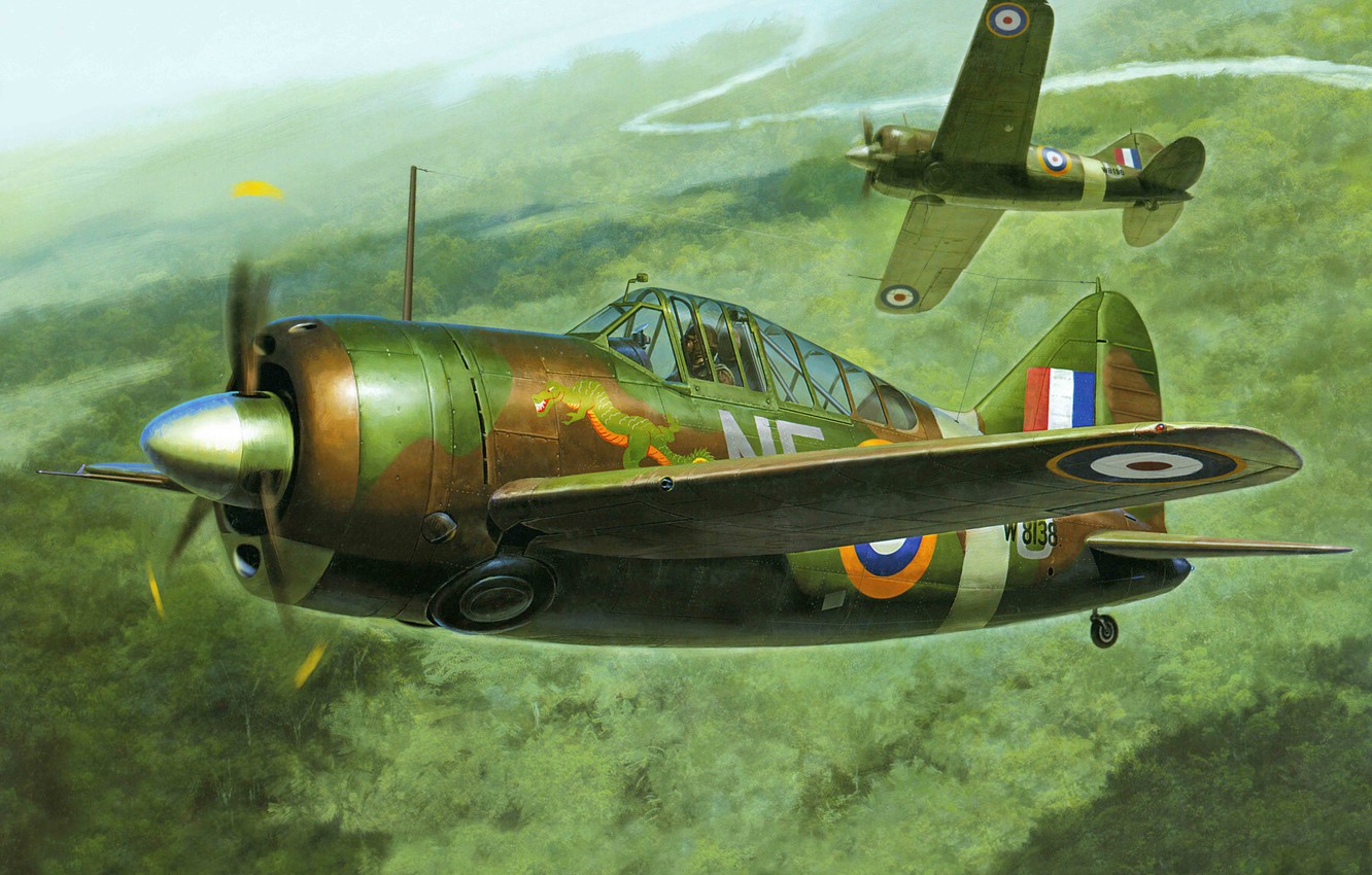 Brewster F2A Buffalo Wallpapers