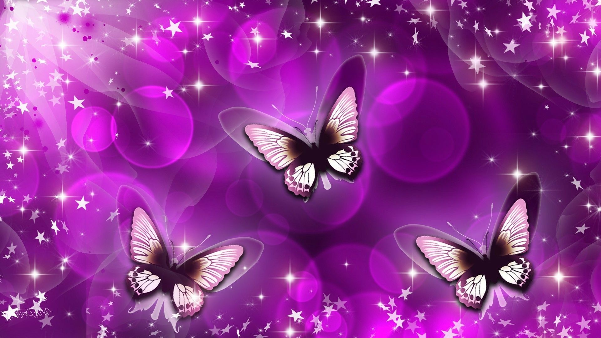 Cartoon Butterfly Wallpapers