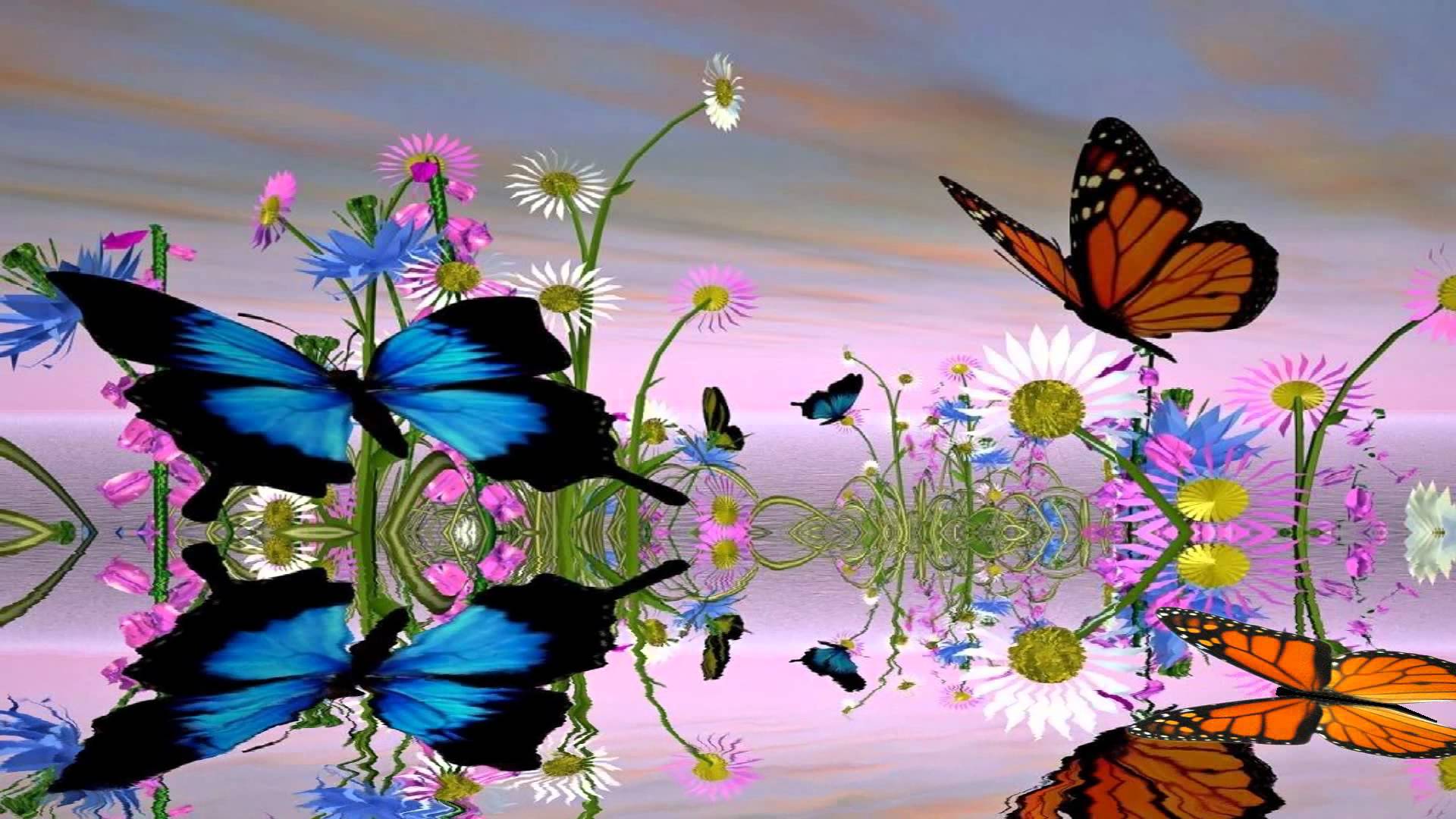 Cartoon Butterfly Wallpapers