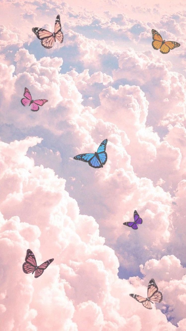 Cartoon Butterfly Wallpapers