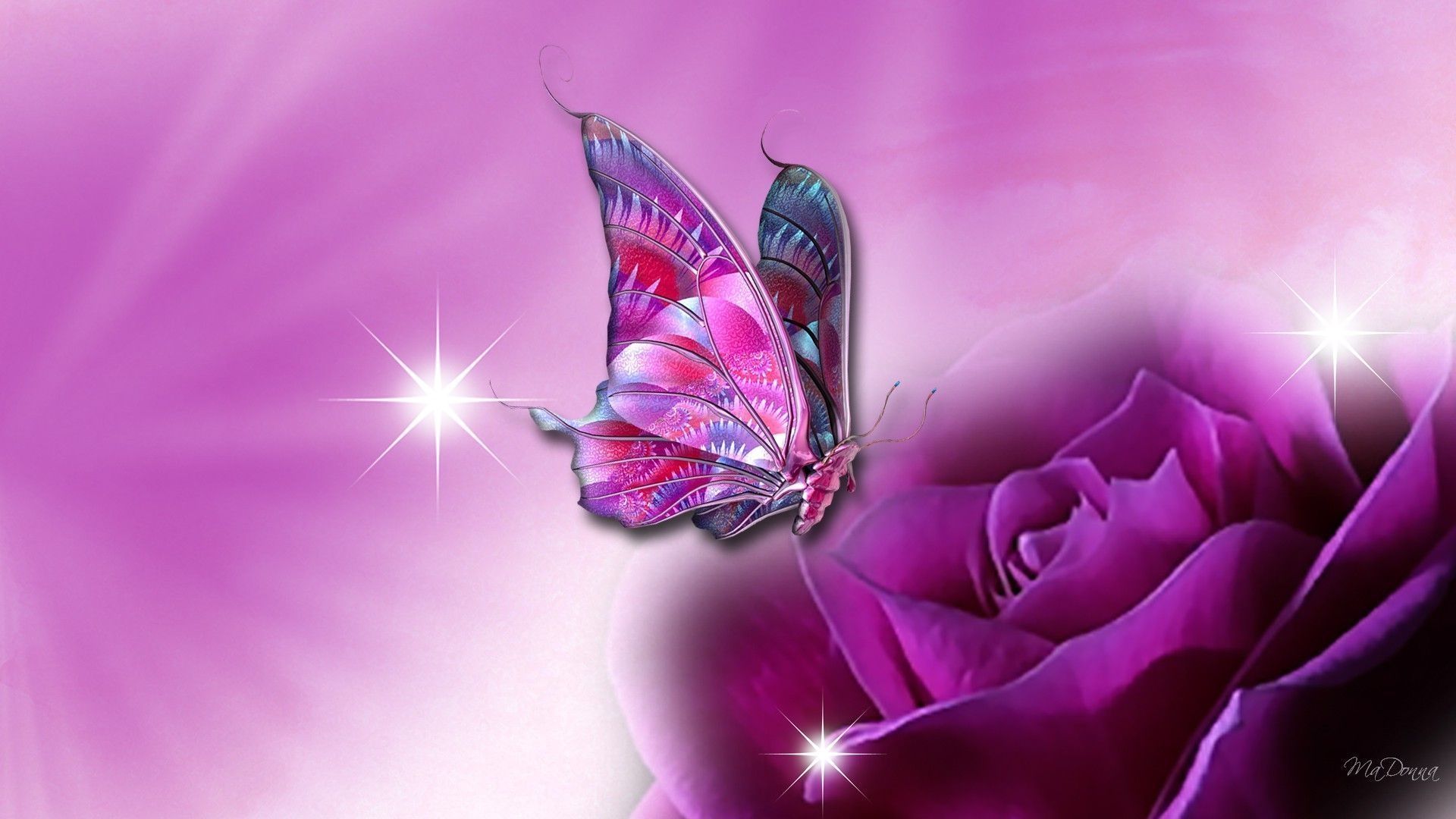 Cartoon Butterfly Wallpapers