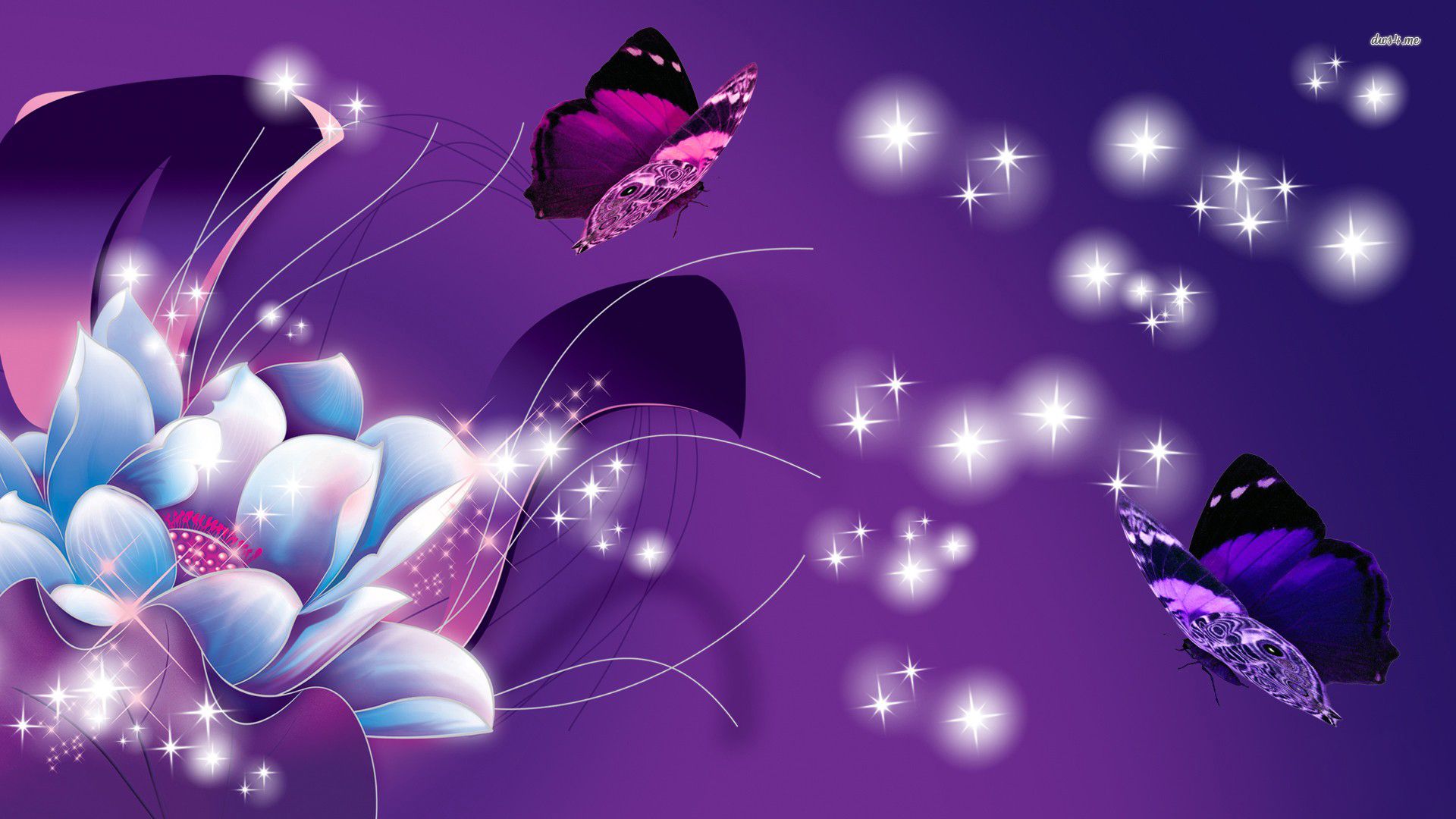 Cartoon Butterfly Wallpapers