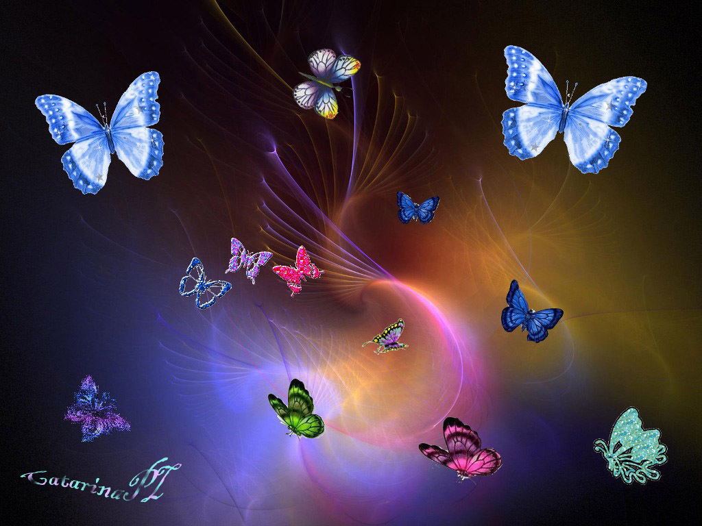 Cartoon Butterfly Wallpapers