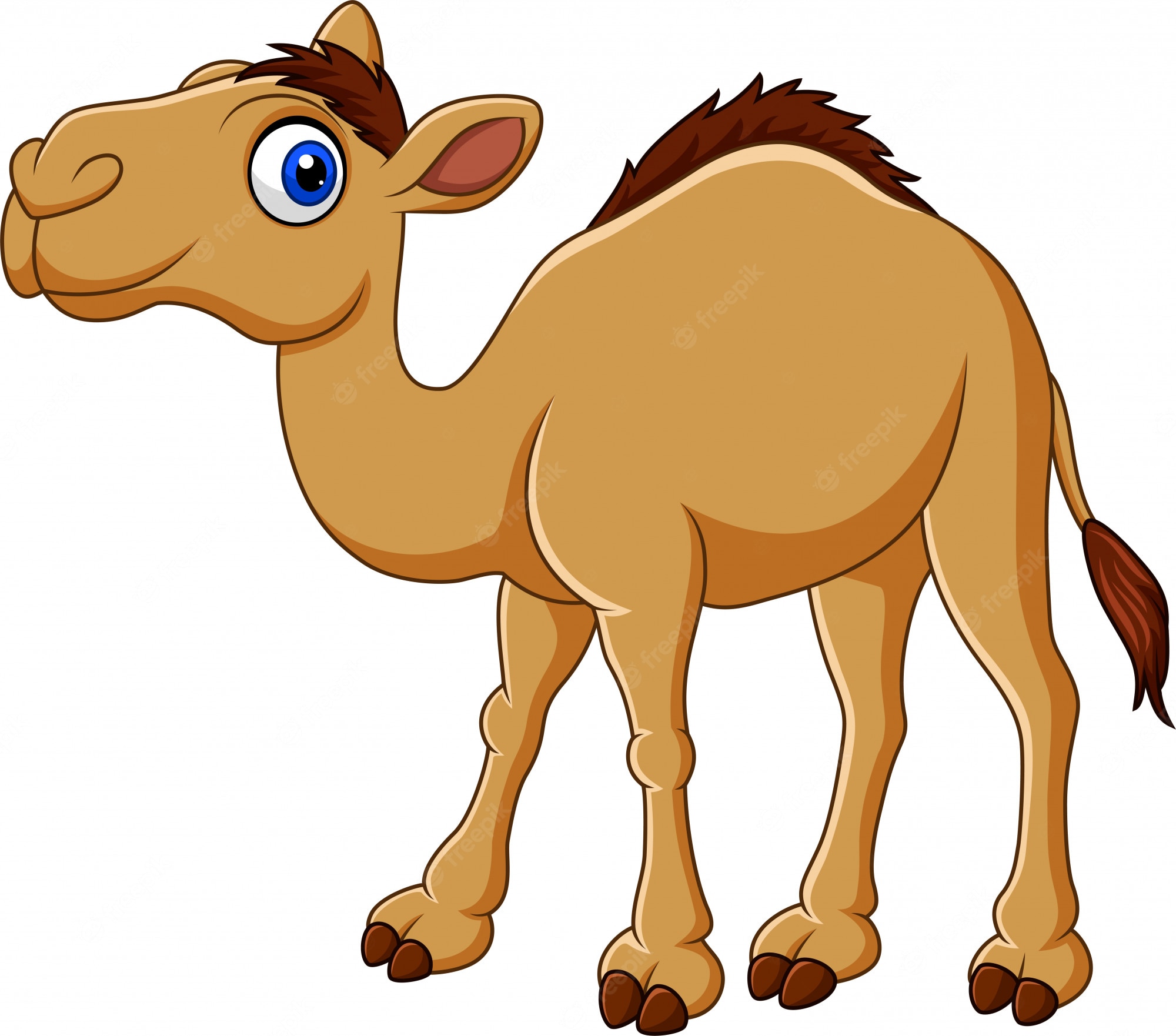 Cartoon Camel Wallpapers