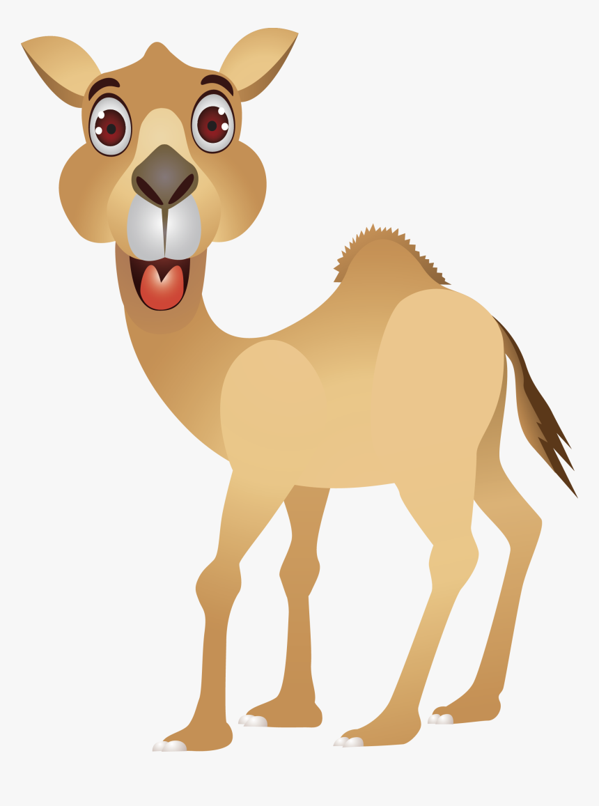 Cartoon Camel Wallpapers