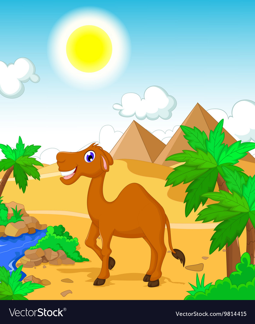 Cartoon Camel Wallpapers