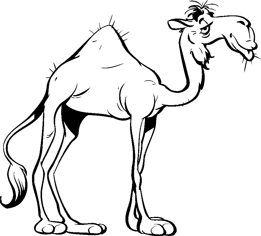 Cartoon Camel Wallpapers