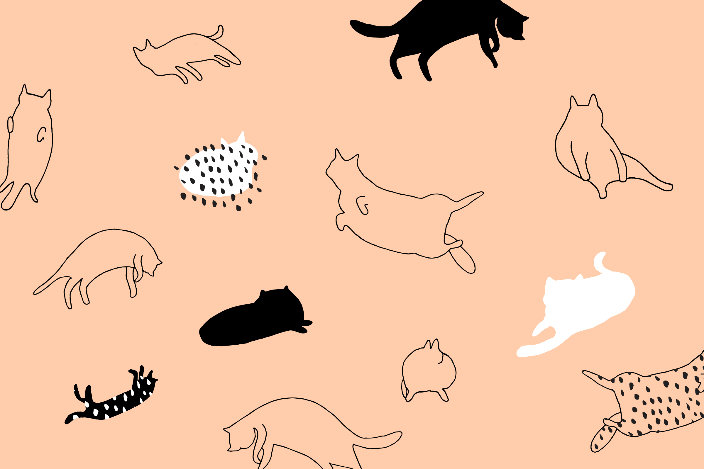 Cartoon Cat Desktop Wallpapers