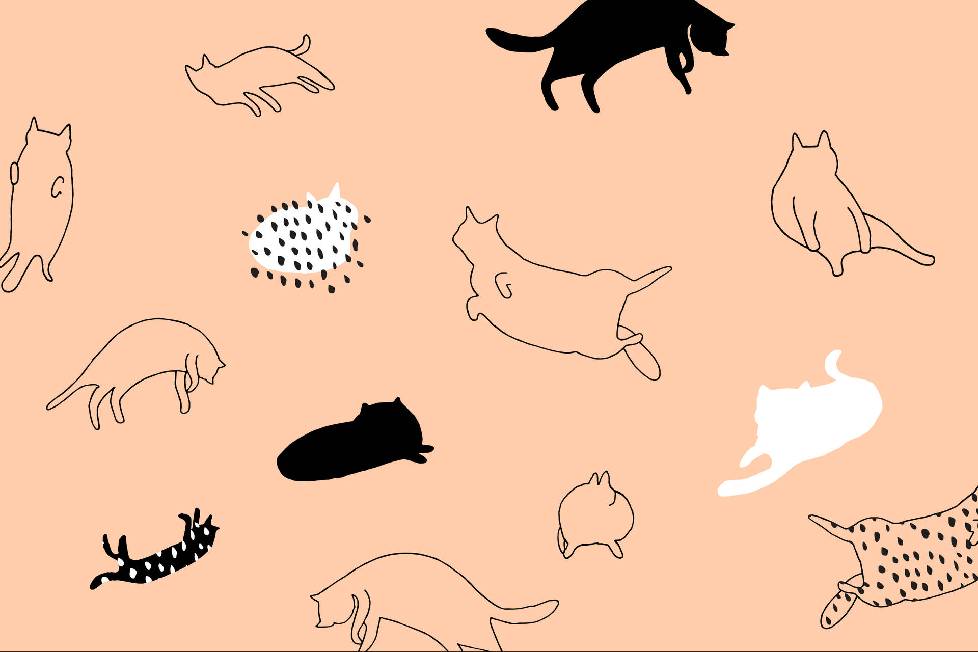 Cartoon Cats Wallpapers