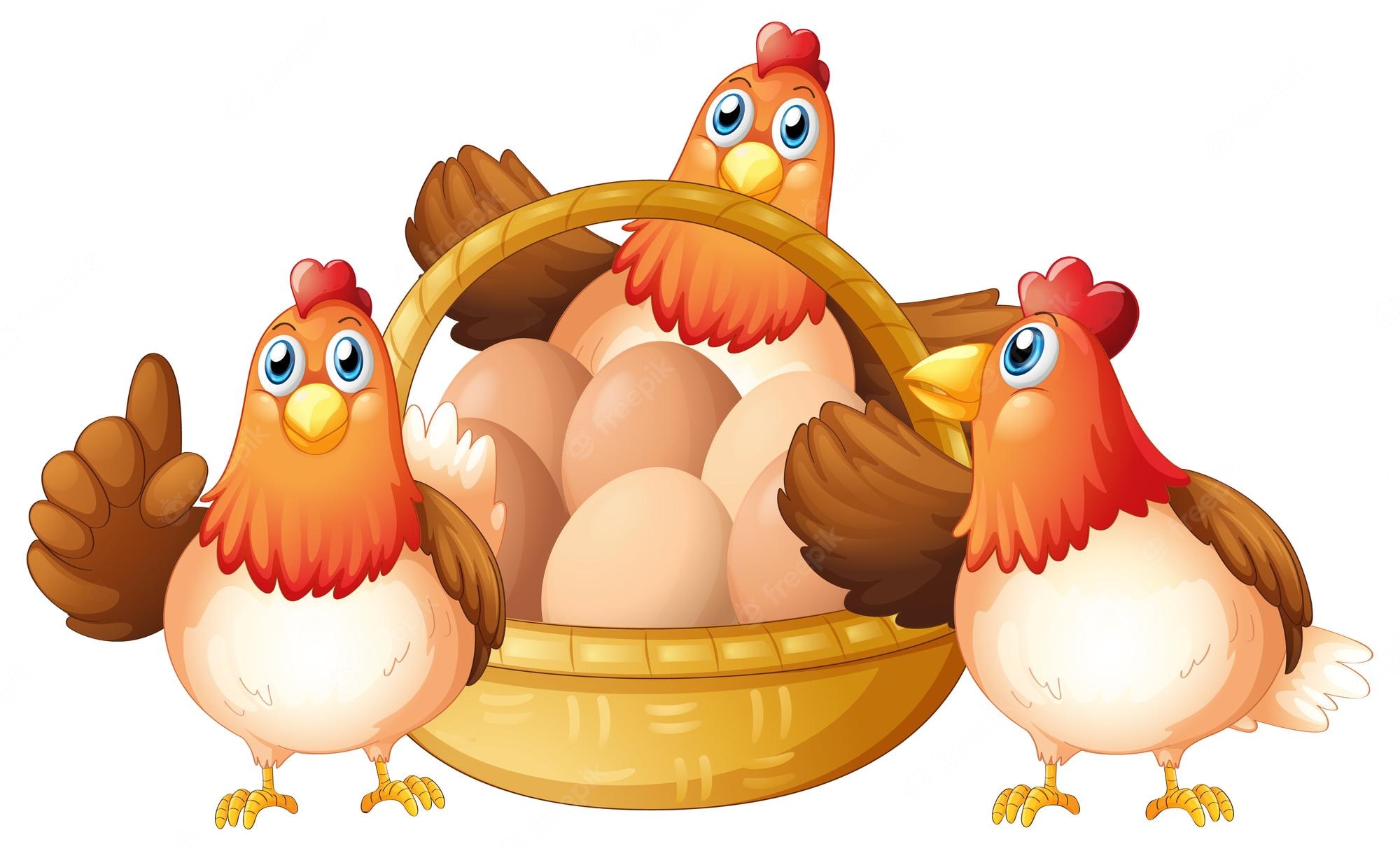 Cartoon Chicken Wallpapers