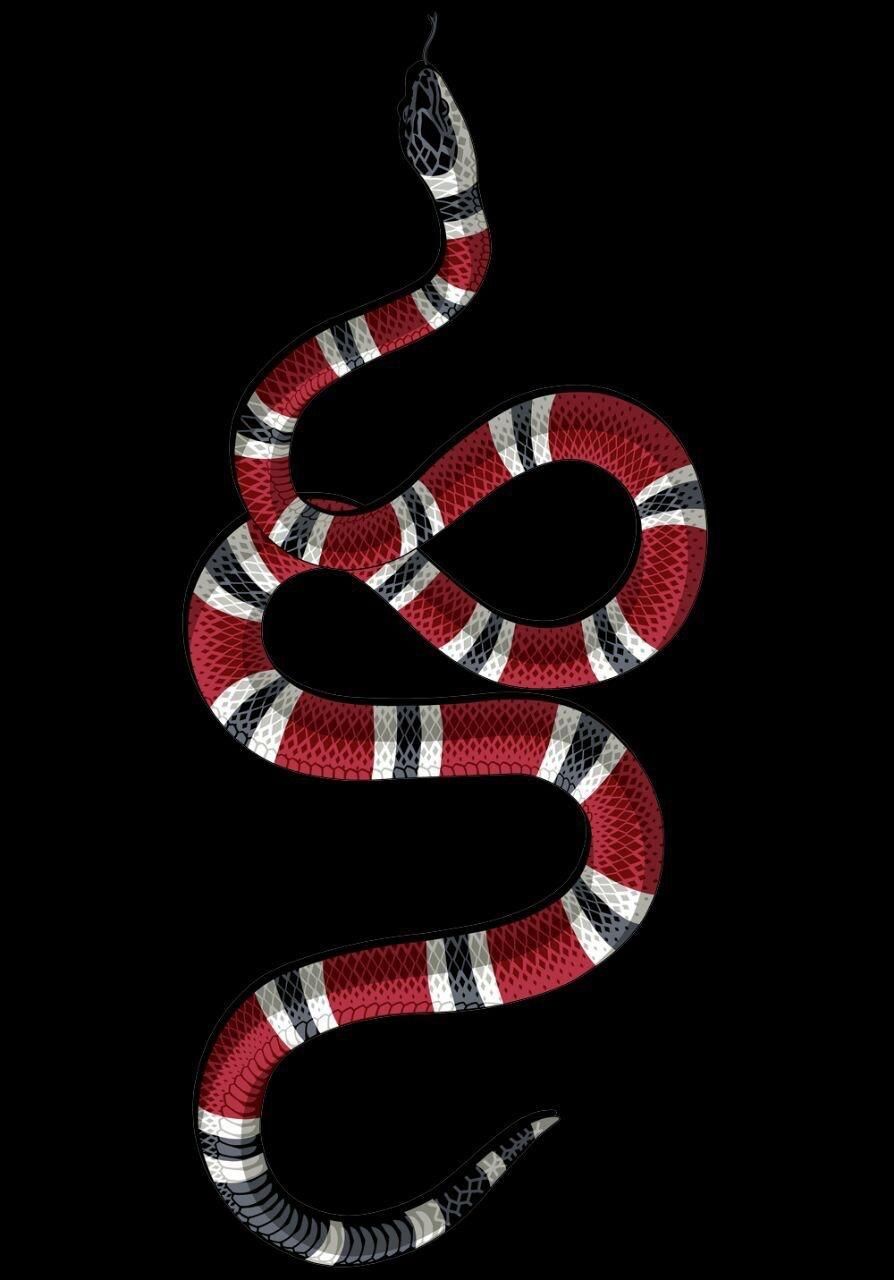 Cartoon Gucci Snake Wallpapers