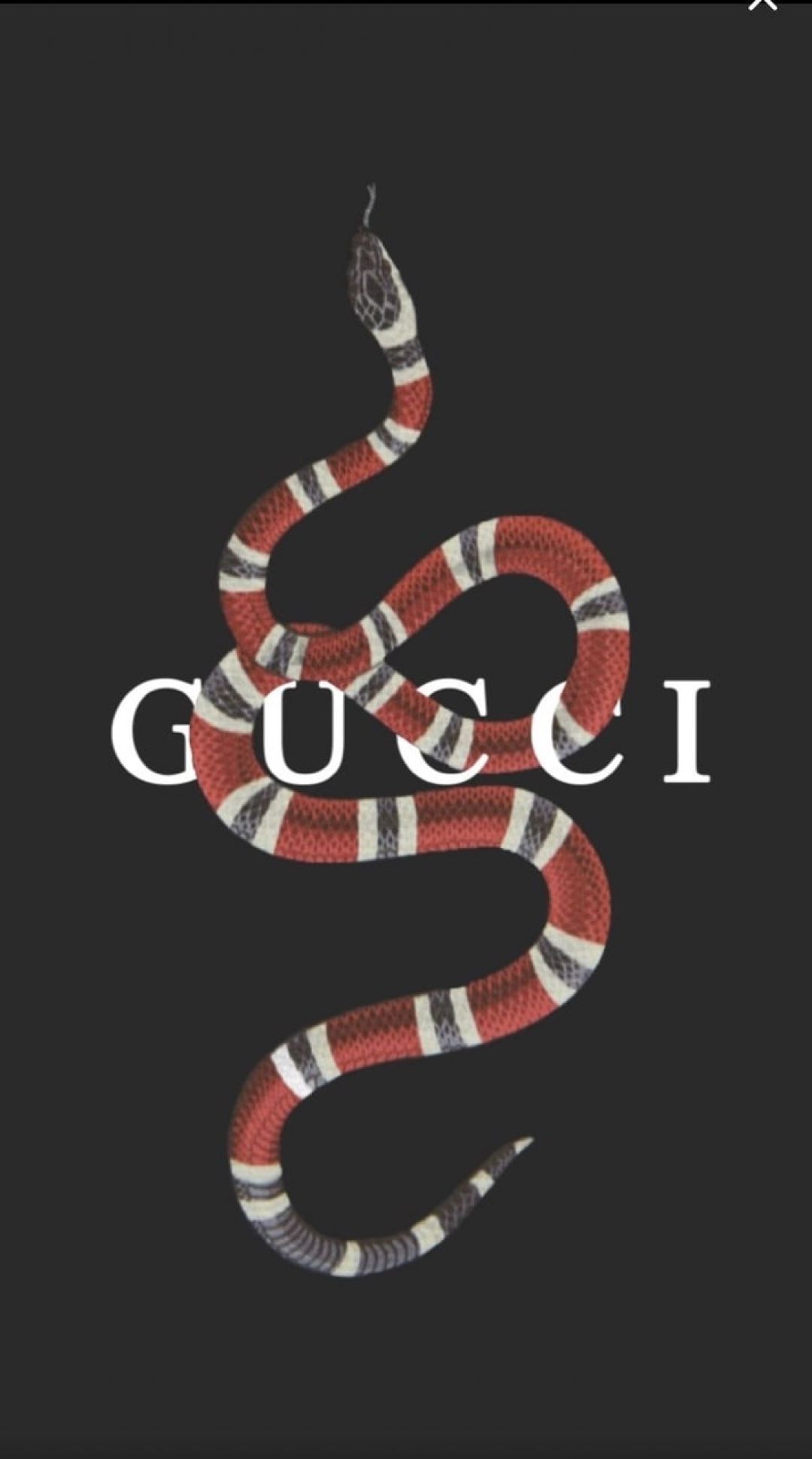 Cartoon Gucci Snake Wallpapers