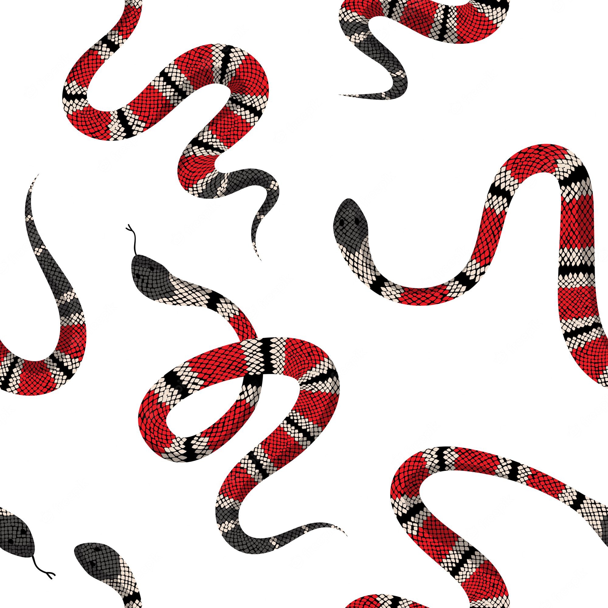 Cartoon Gucci Snake Wallpapers