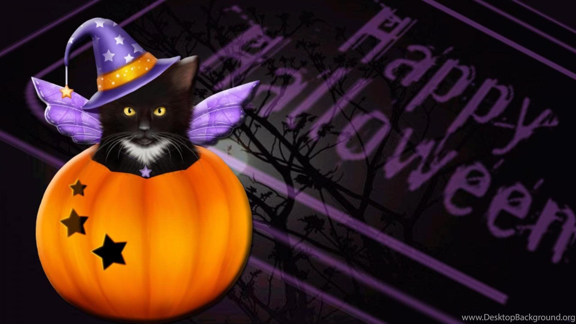 Cartoon Halloween Cat Desktop Wallpapers