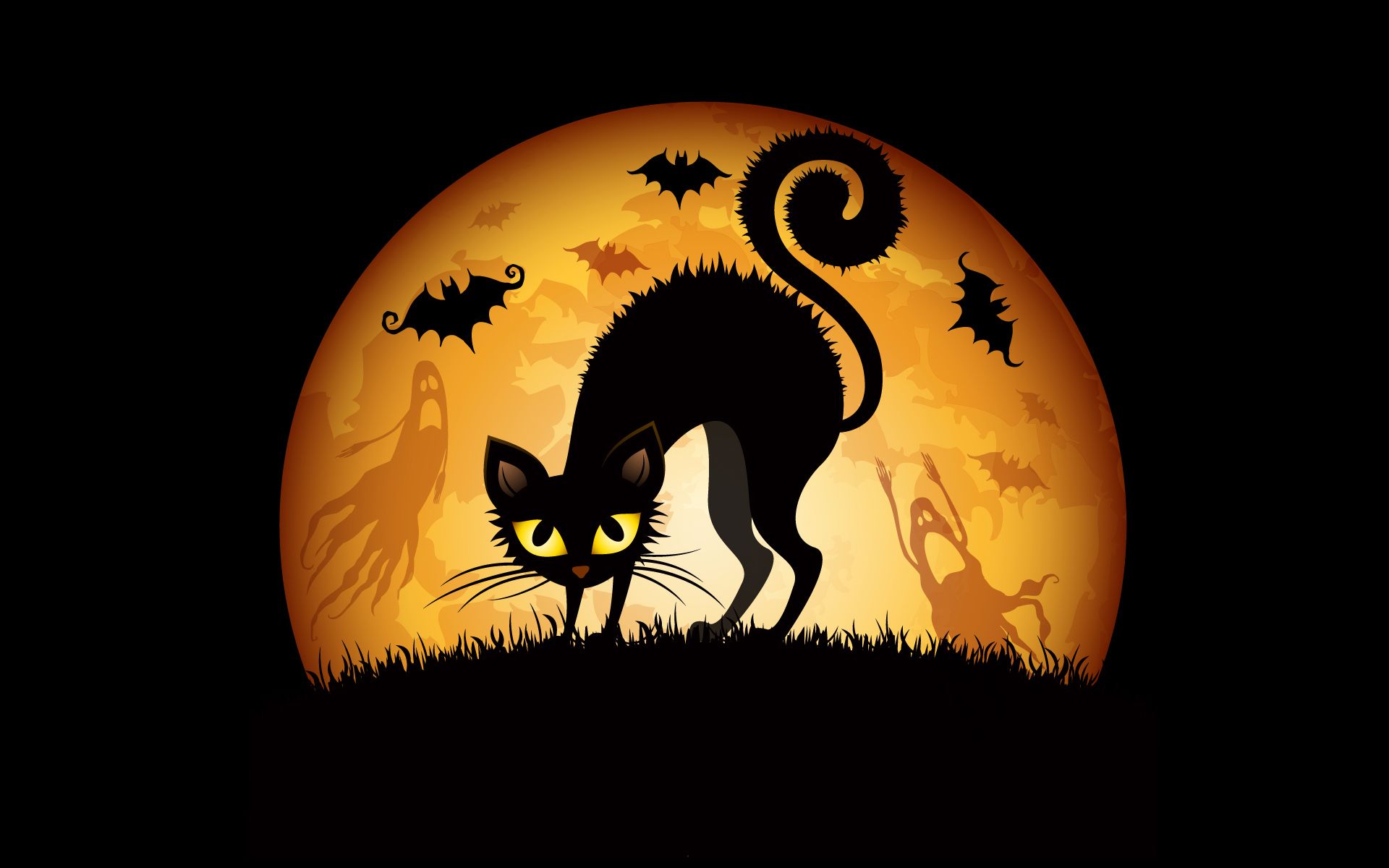 Cartoon Halloween Cat Desktop Wallpapers