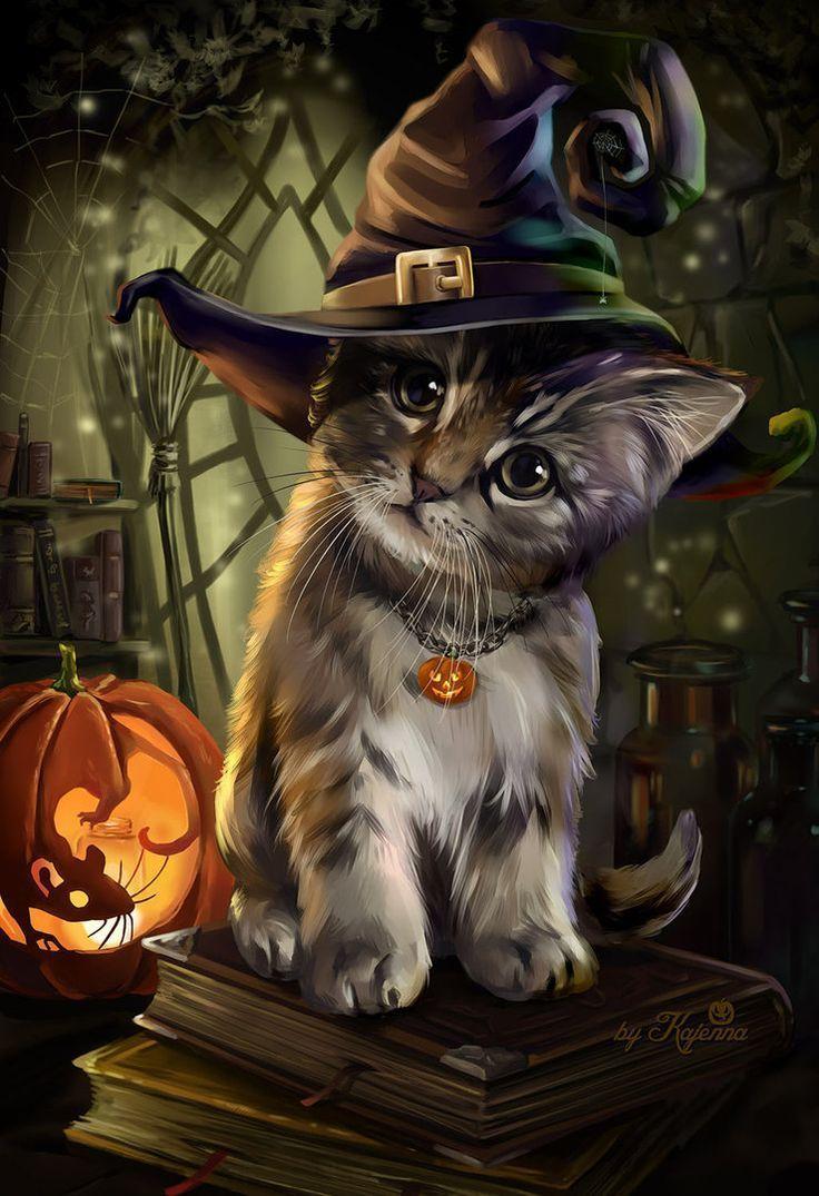 Cartoon Halloween Cat Desktop Wallpapers