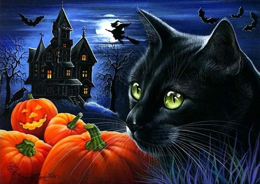 Cartoon Halloween Cat Desktop Wallpapers