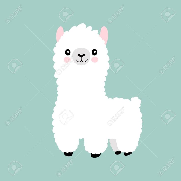 Cartoon Llamas Wallpapers