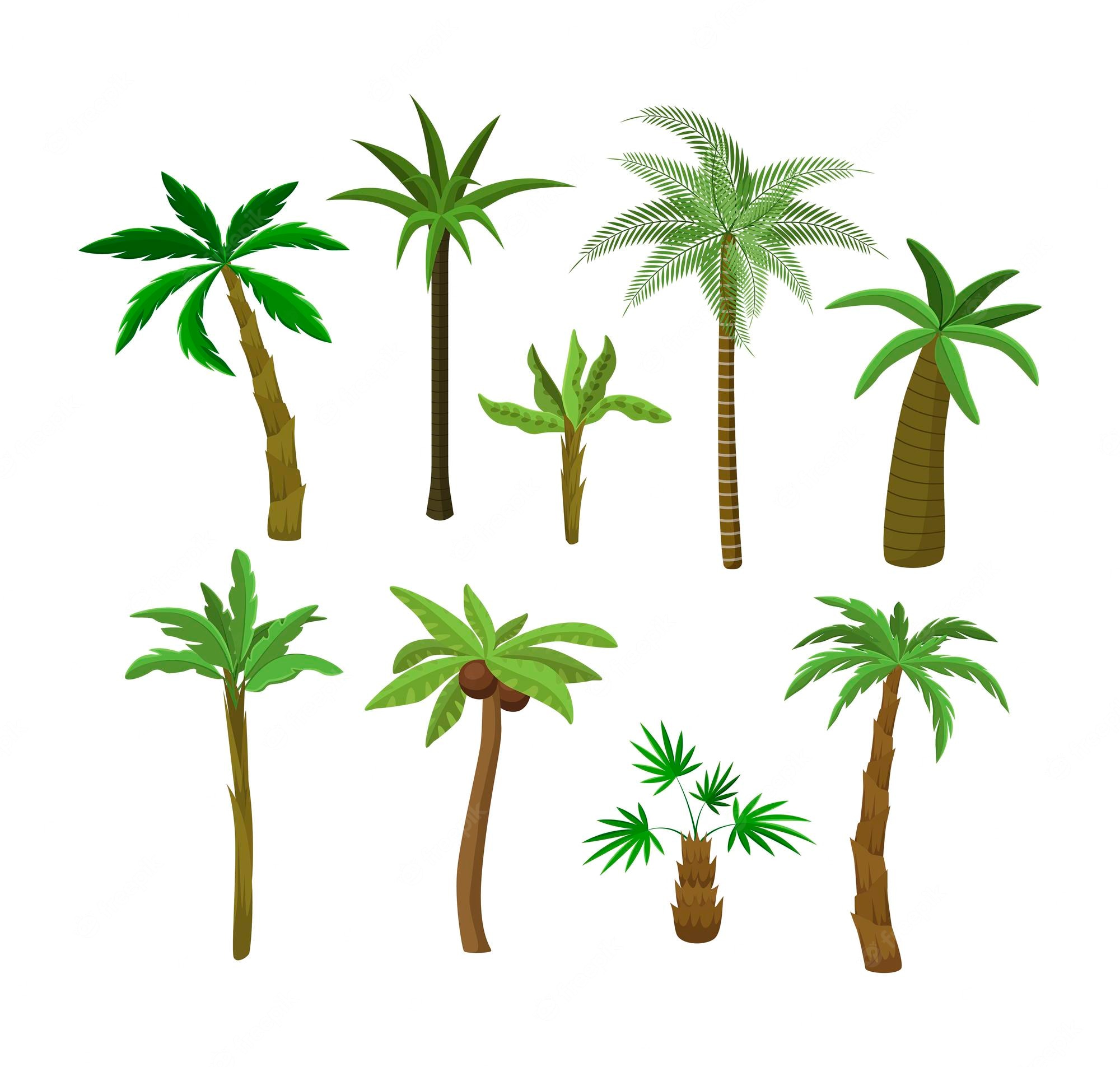 Cartoon Palm Tree Wallpapers