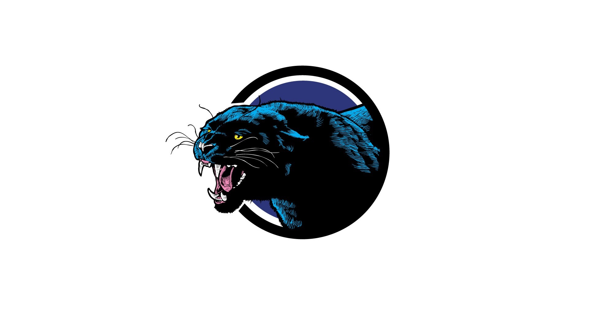 Cartoon Panthers Wallpapers