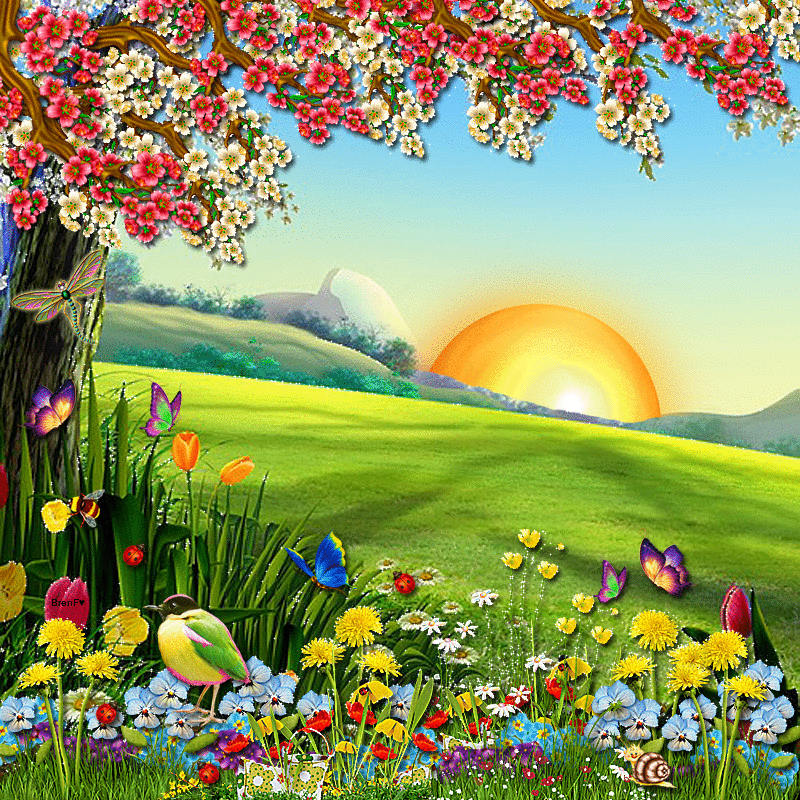 Cartoon Spring Wallpapers