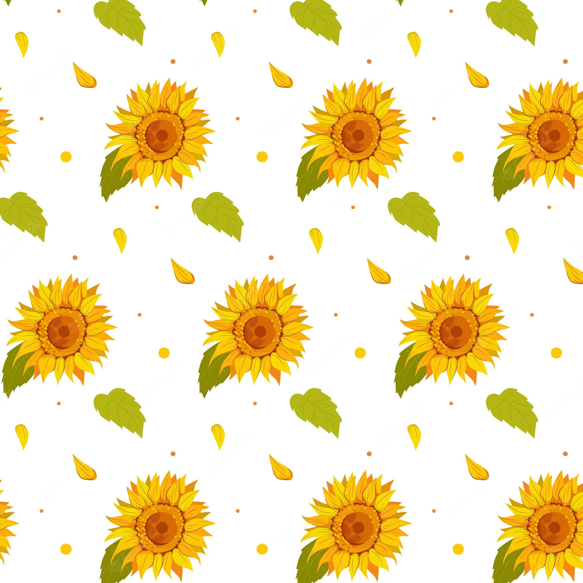 Cartoon Sunflower Wallpapers