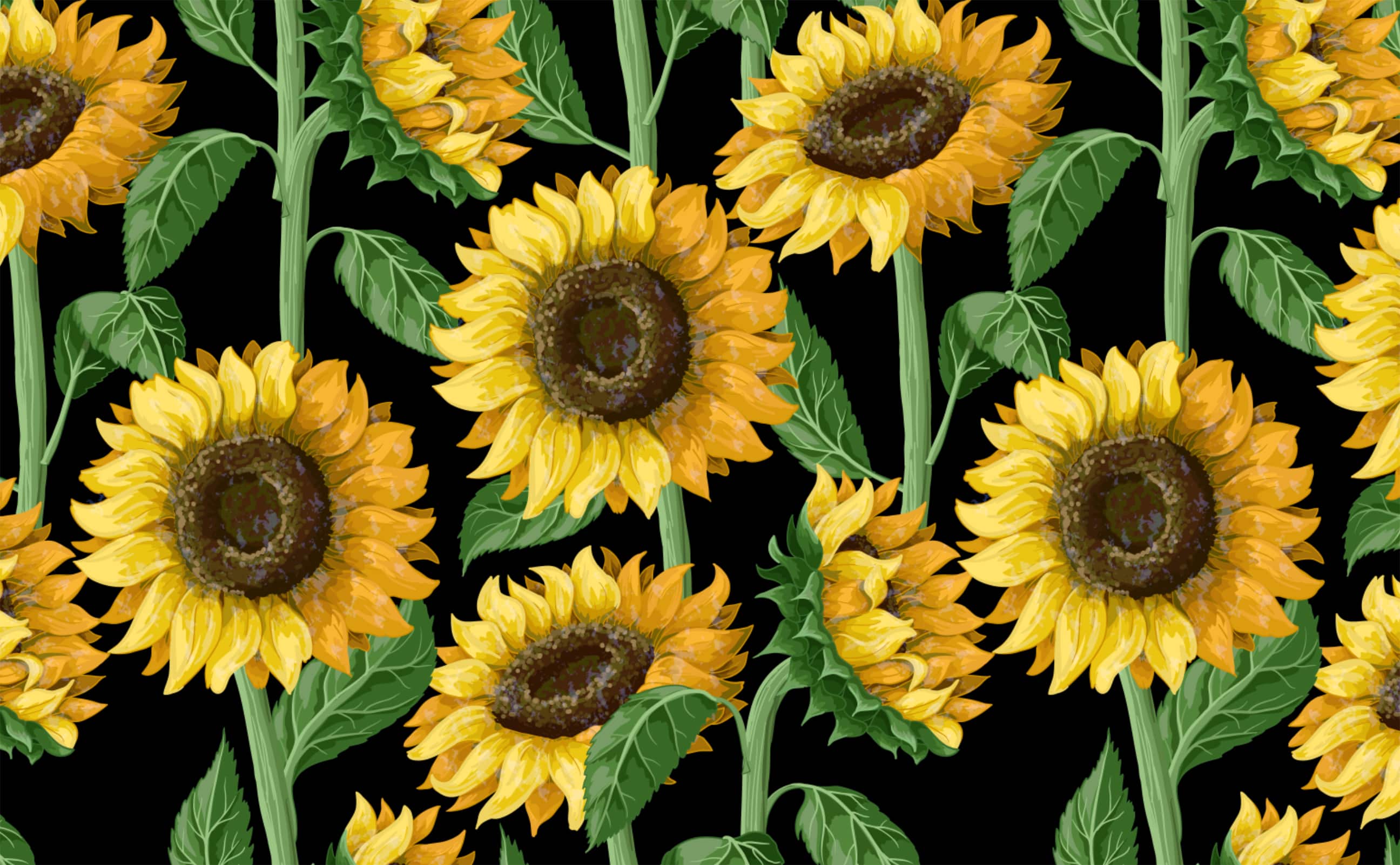 Cartoon Sunflower Wallpapers