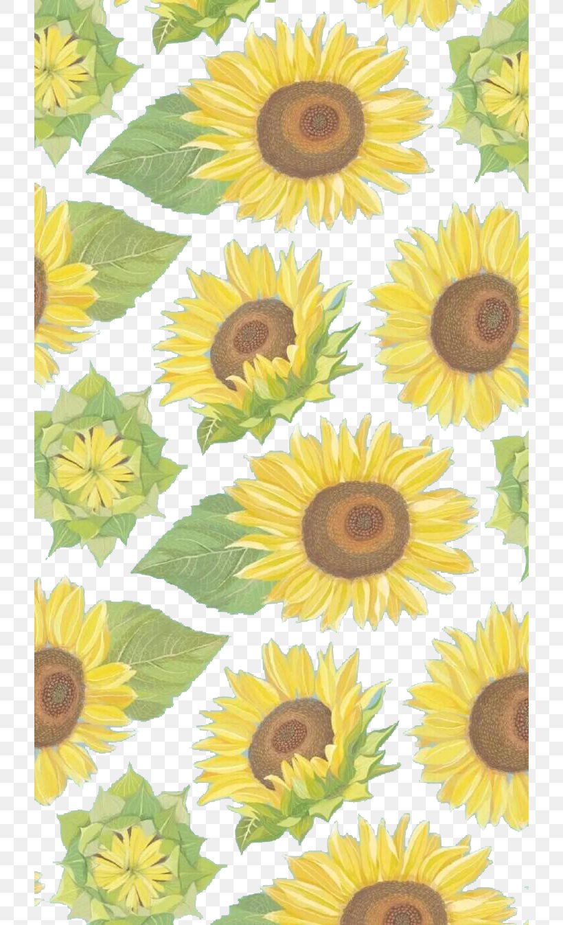 Cartoon Sunflower Wallpapers