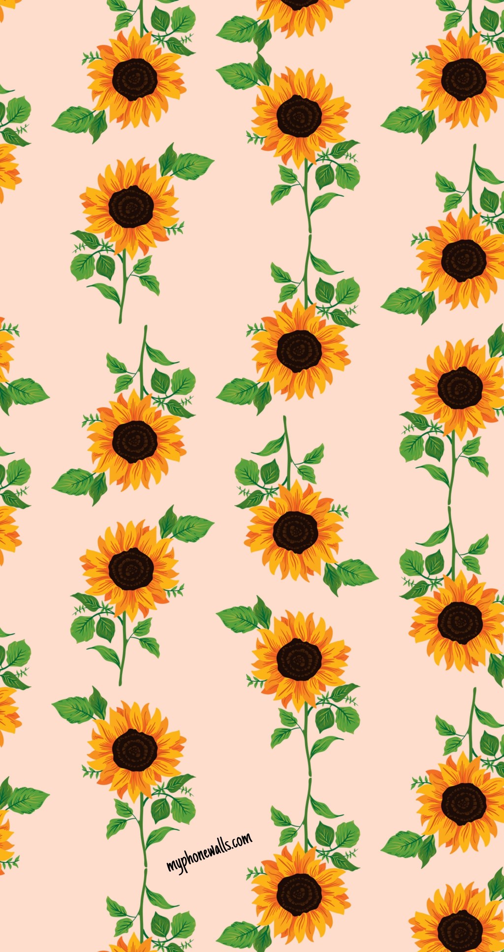 Cartoon Sunflower Wallpapers