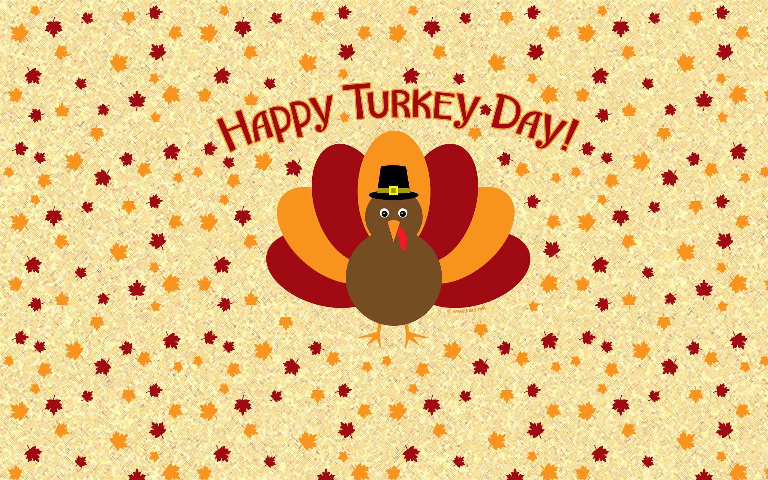 Cartoon Turkey Wallpapers