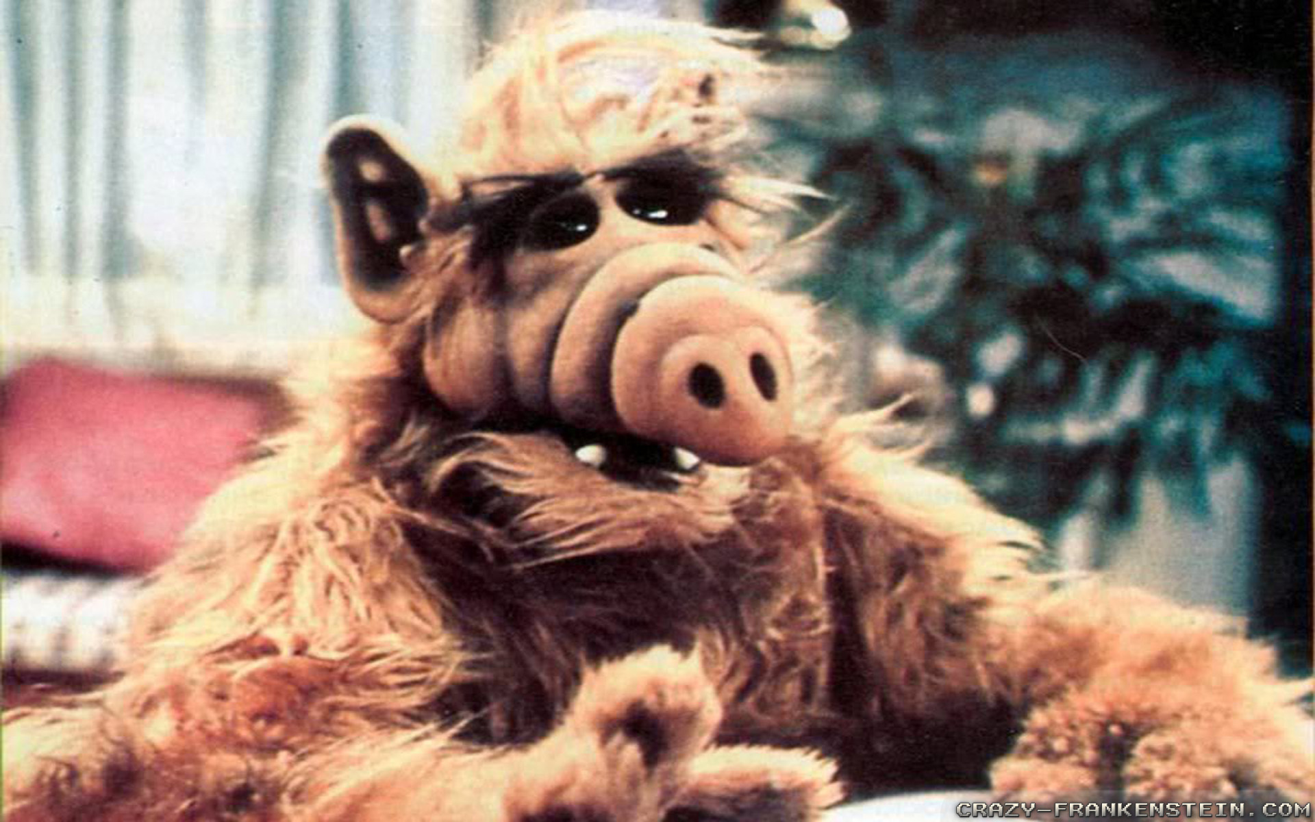 Alf Wallpapers