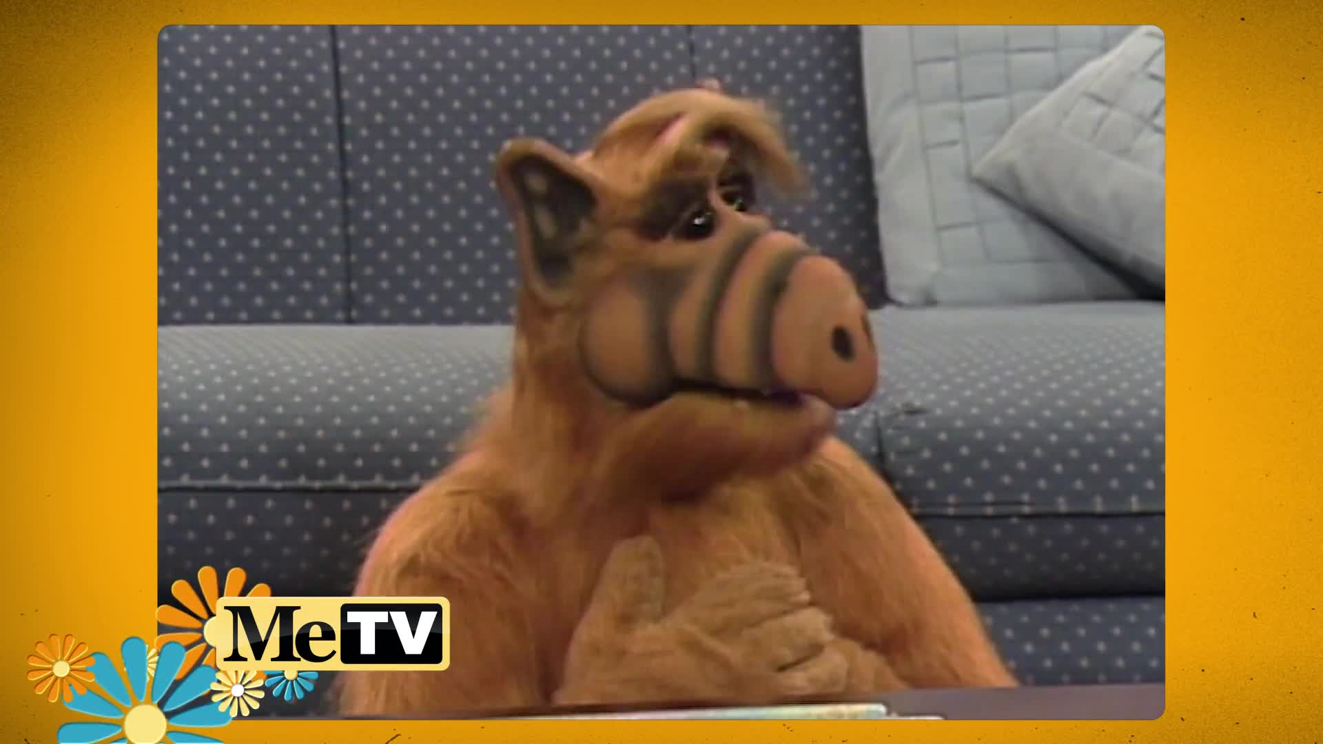 Alf Wallpapers