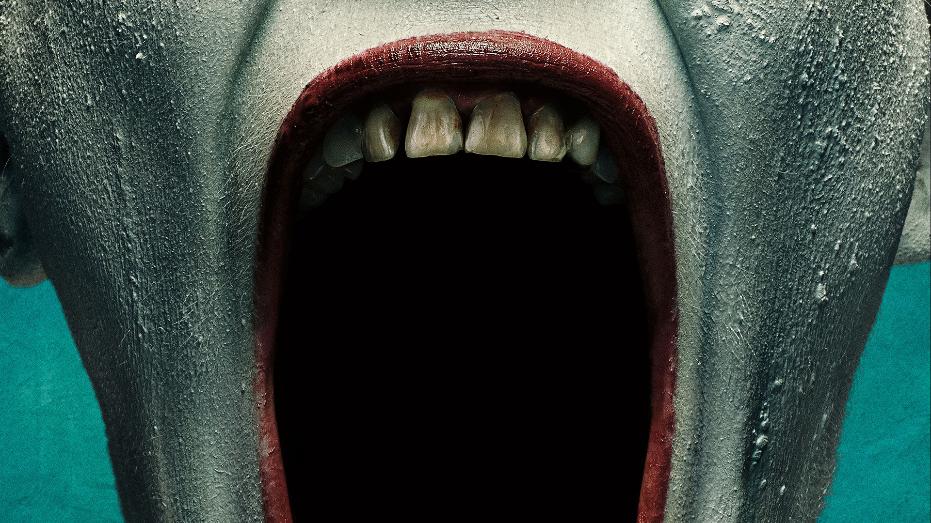 American Horror Story: Freak Show Wallpapers