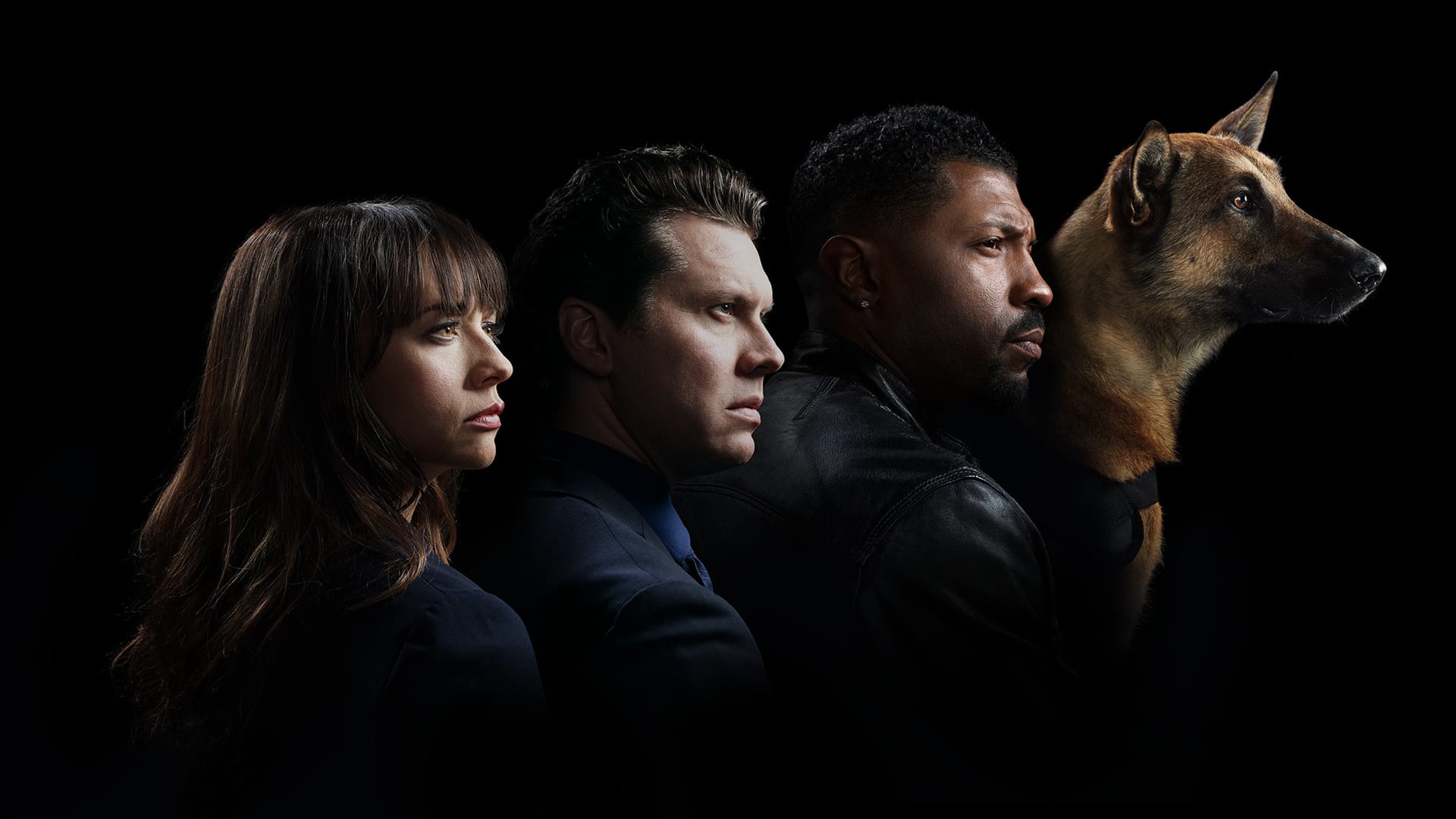 Angie Tribeca Wallpapers