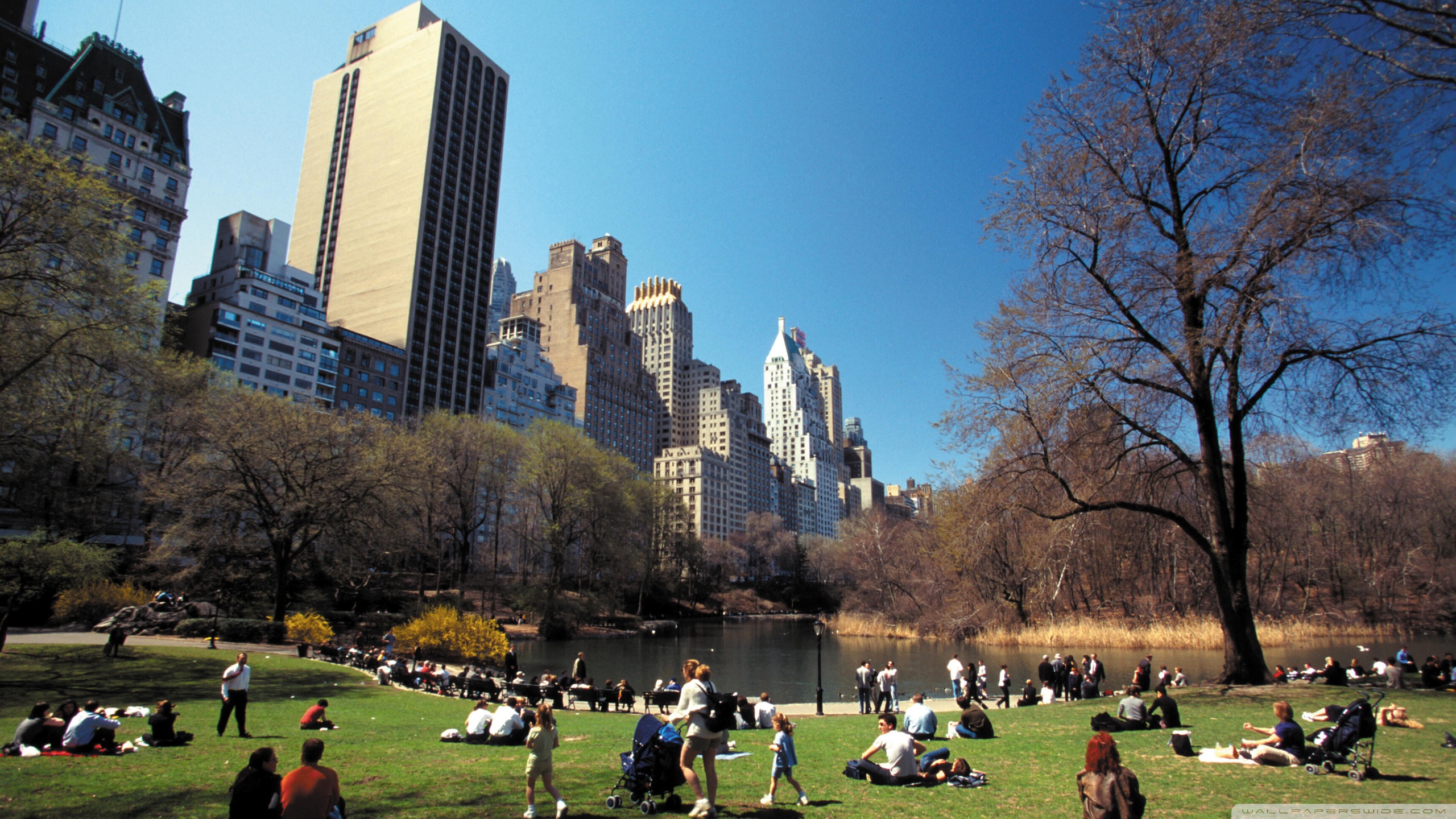 Apply Tv Central Park Wallpapers