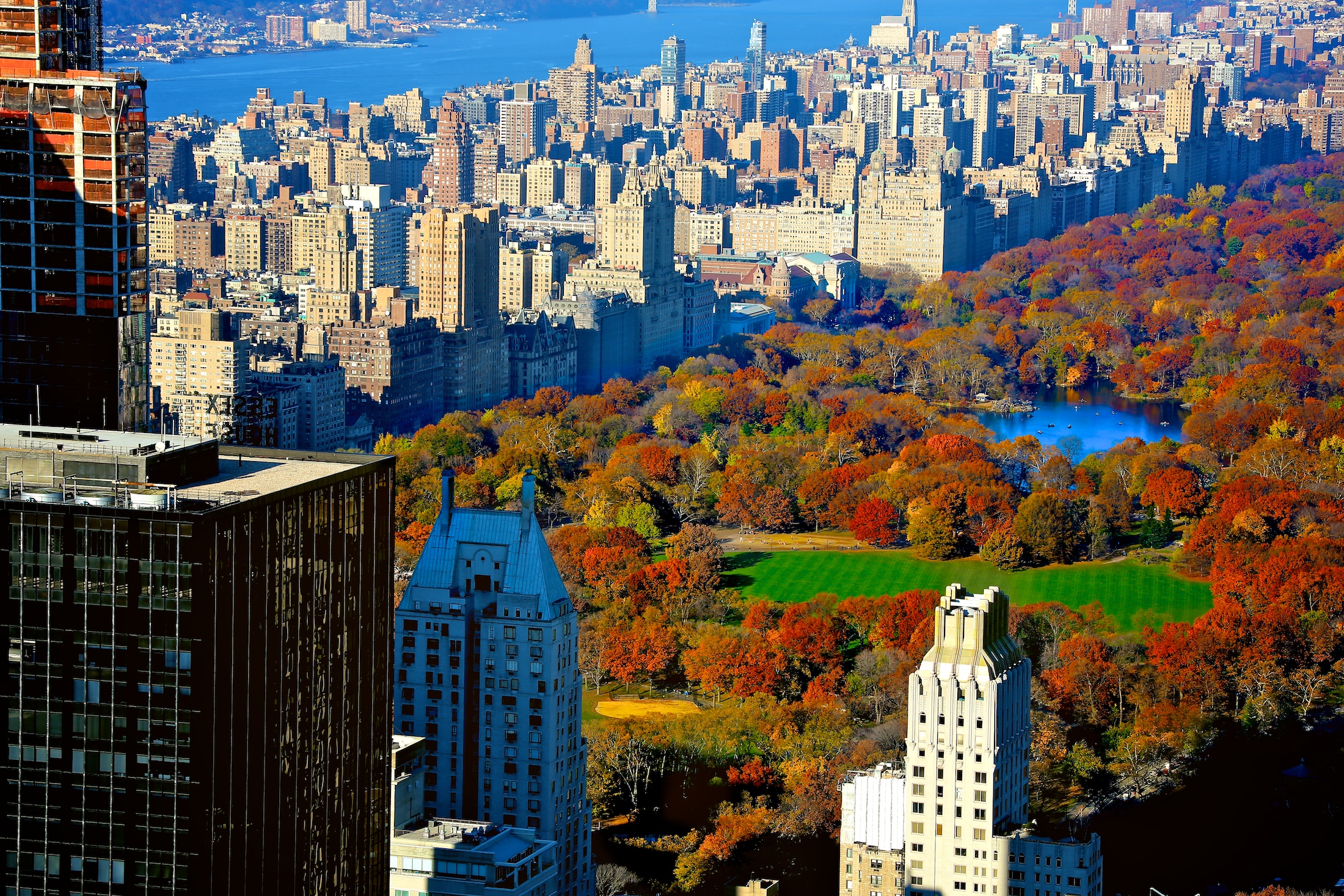 Apply Tv Central Park Wallpapers