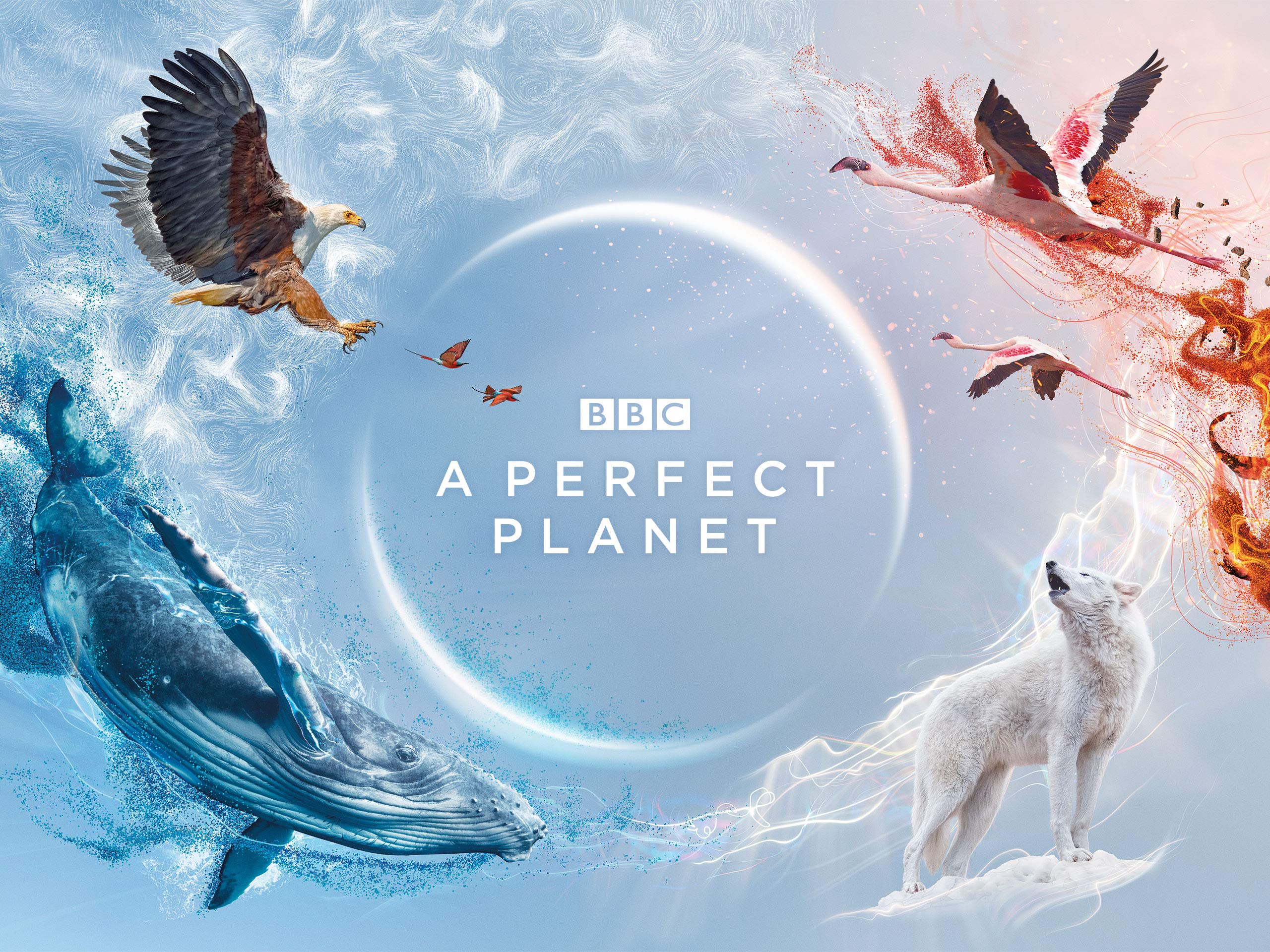 Bbc Perfect Planet Wallpapers