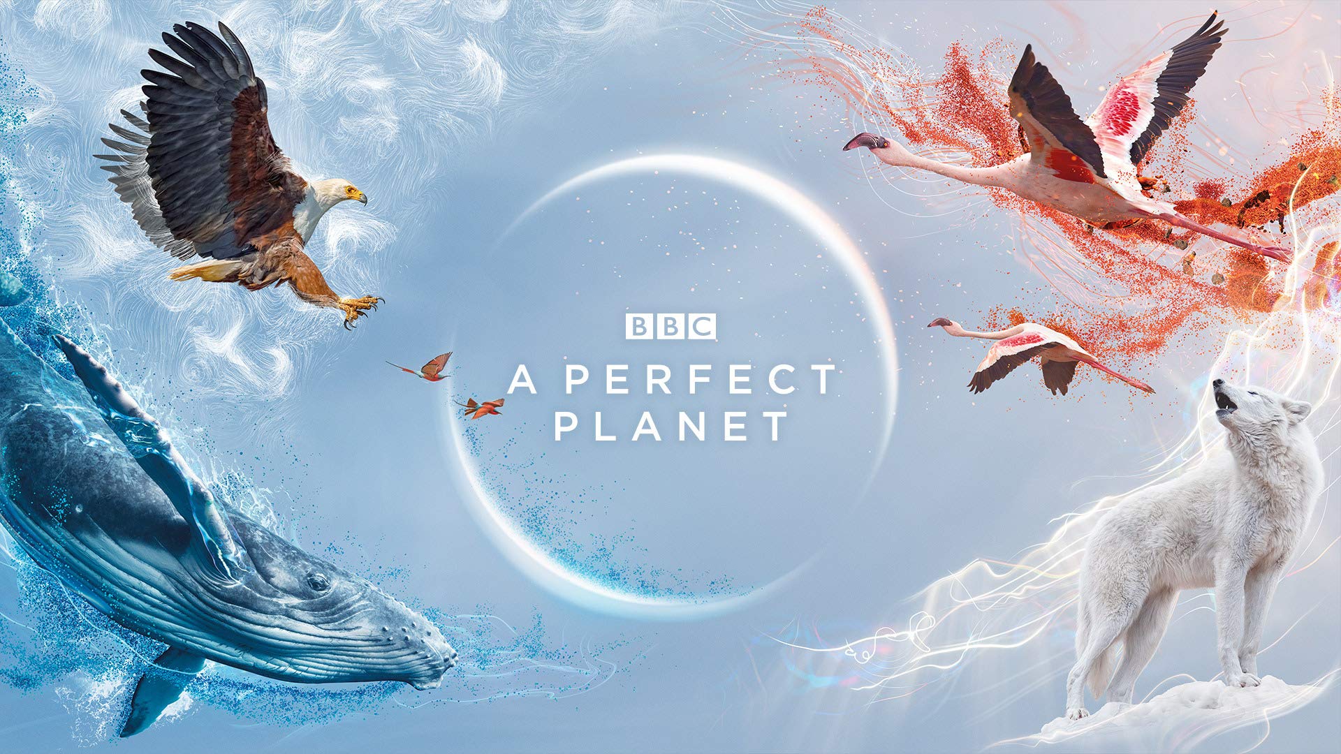 Bbc Planet Series Wallpapers