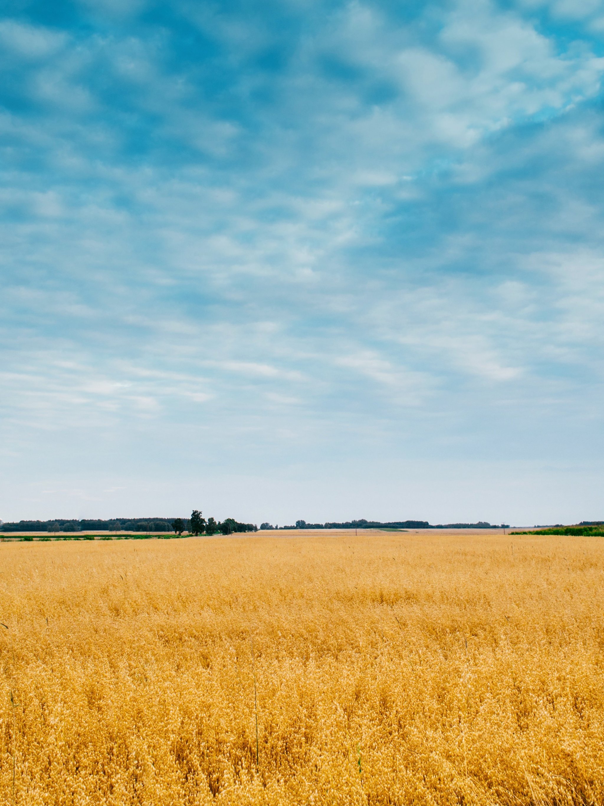 Big Sky Wallpapers