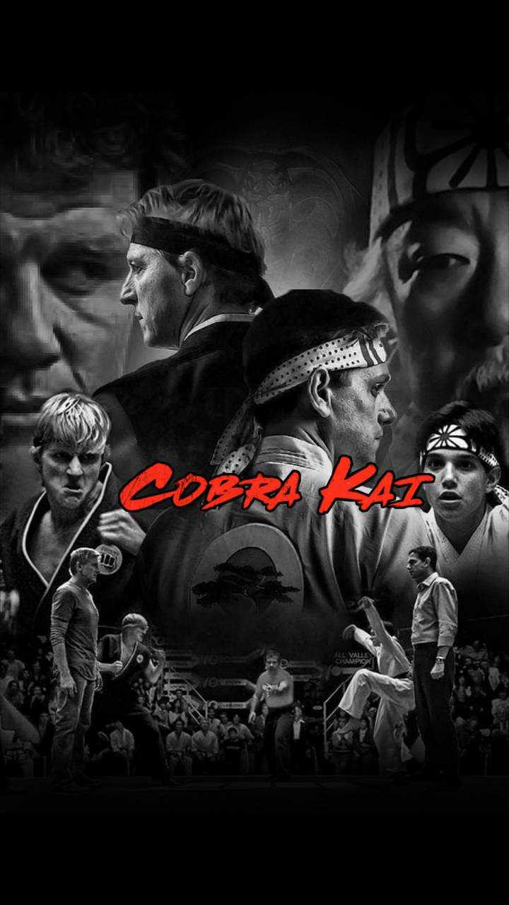 Cobra Kai Phone Wallpapers