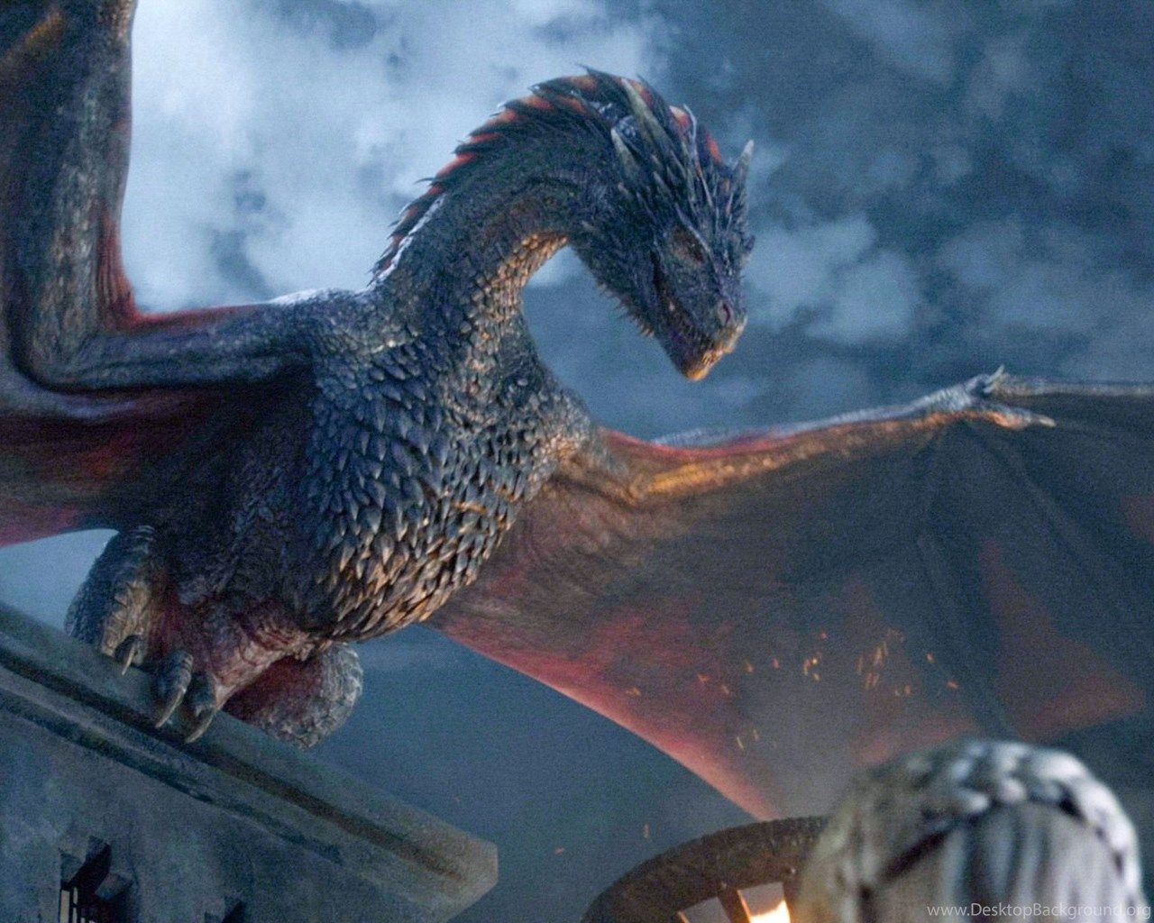 Daenerys And Dragon Got Wallpapers