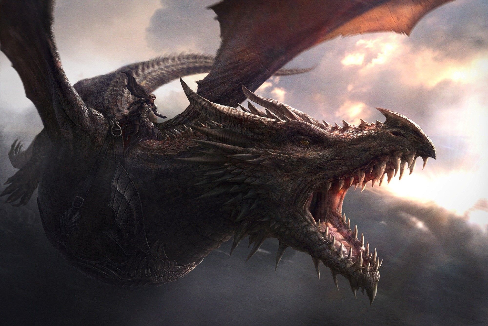 Daenerys And Dragon Got Wallpapers