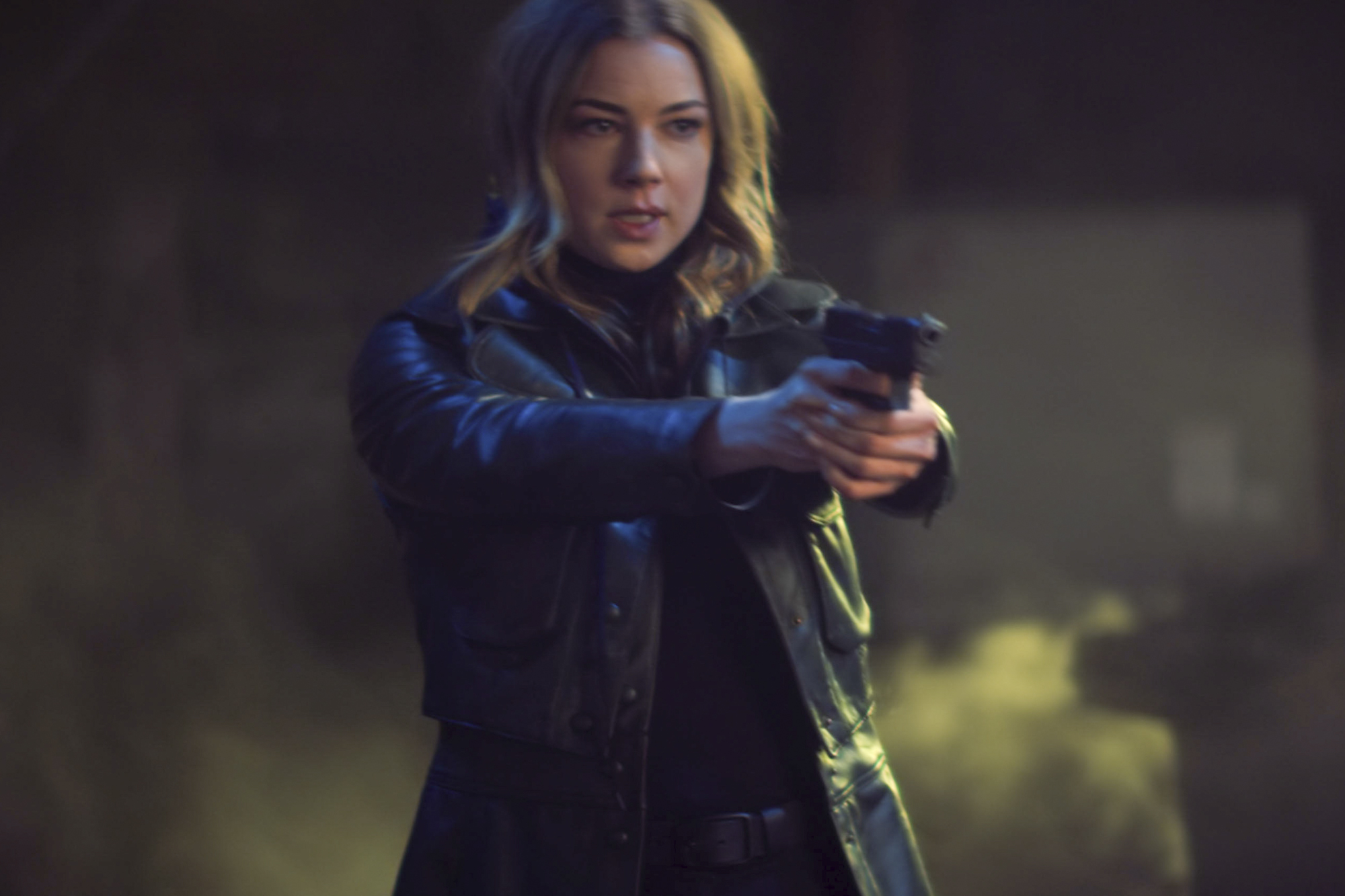 Emily Vancamp As Sharon Carter In The Falcon And The Winter Soldier Wallpapers