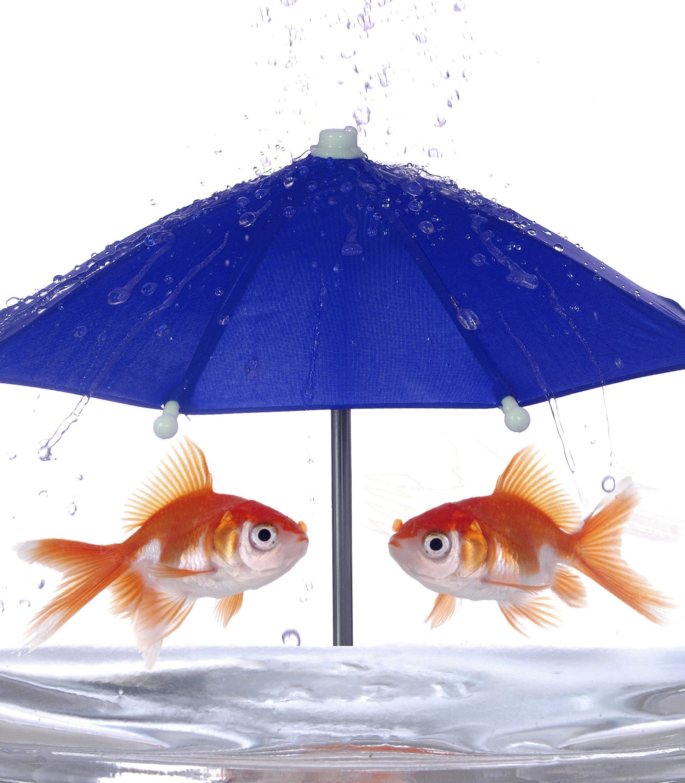 Goldfish Carmichael The Umbrella Academy Wallpapers